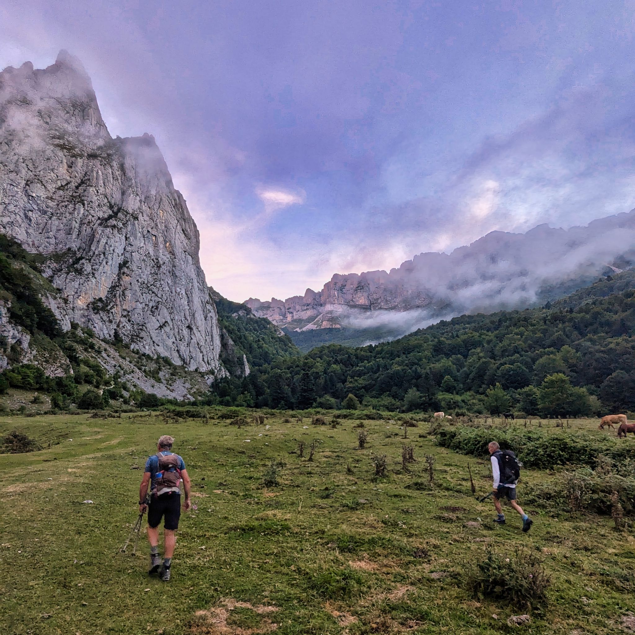 PXL 20240829 052049195