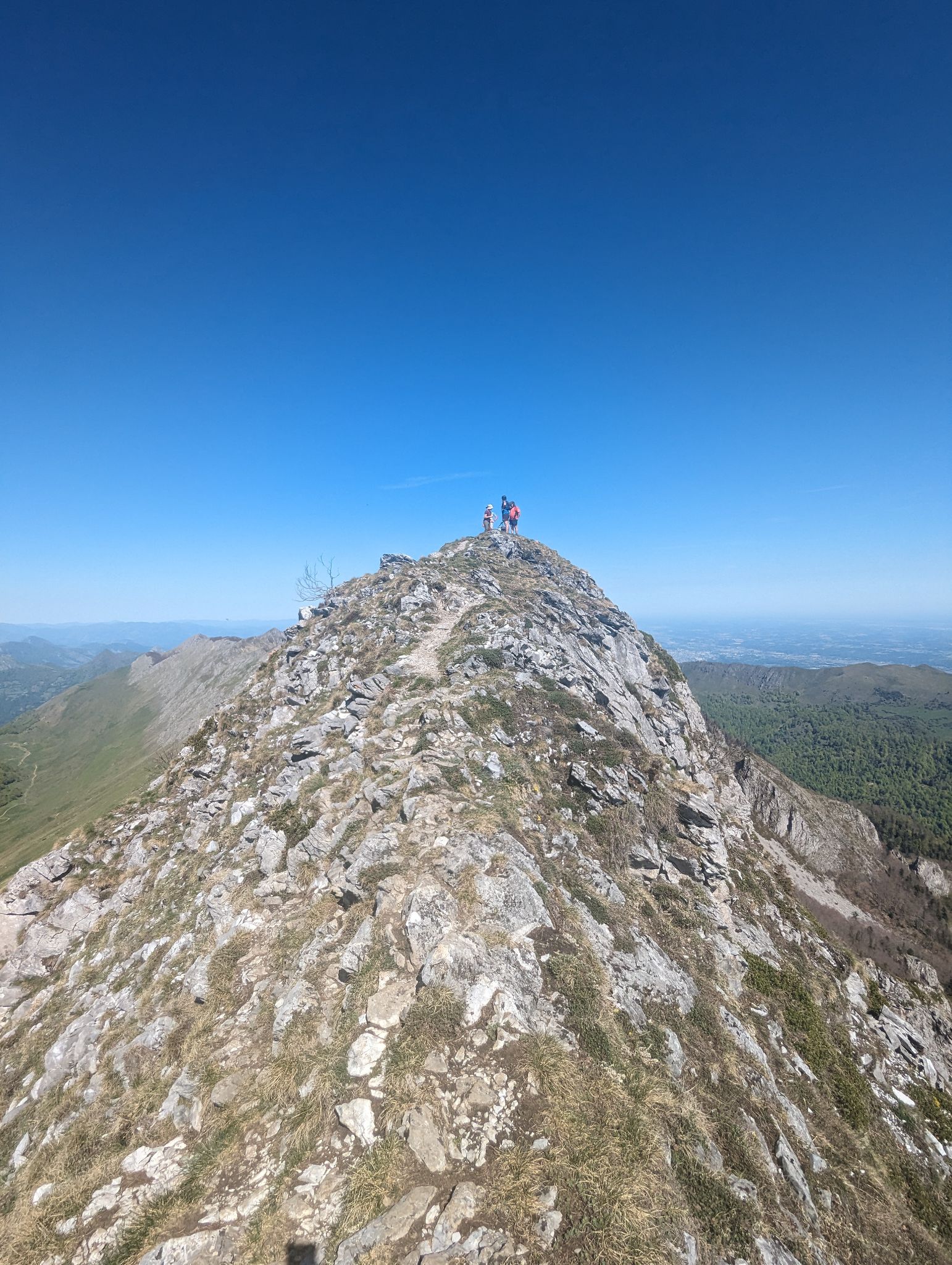 PXL 20240511 091153101