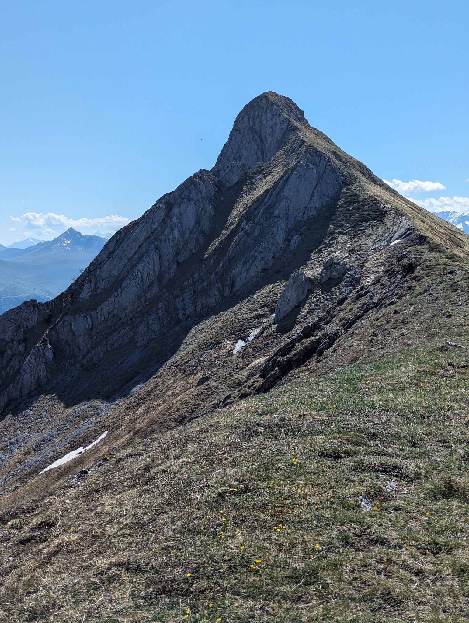 PXL 20240511 094253959