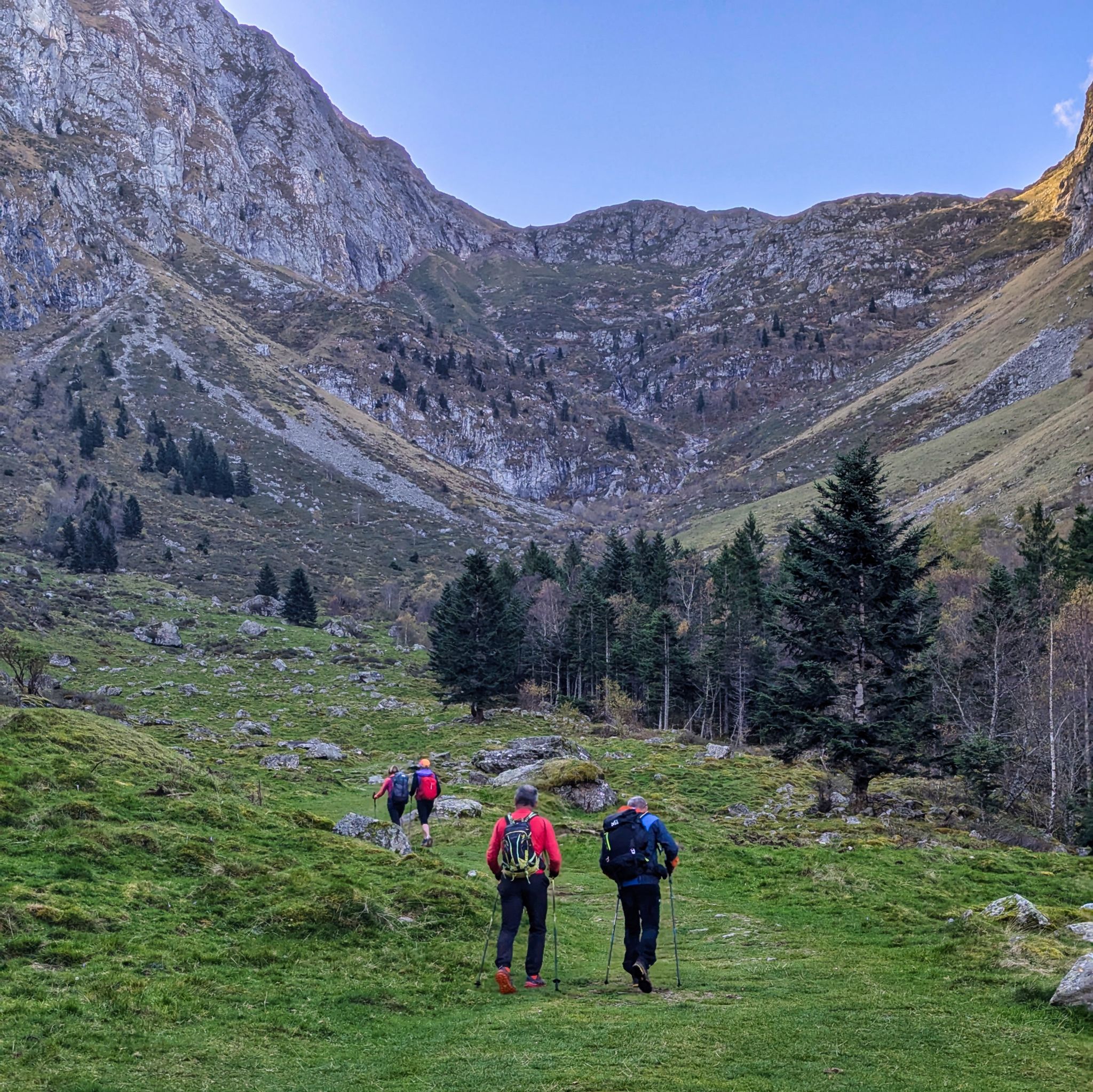 PXL 20241031 090422640