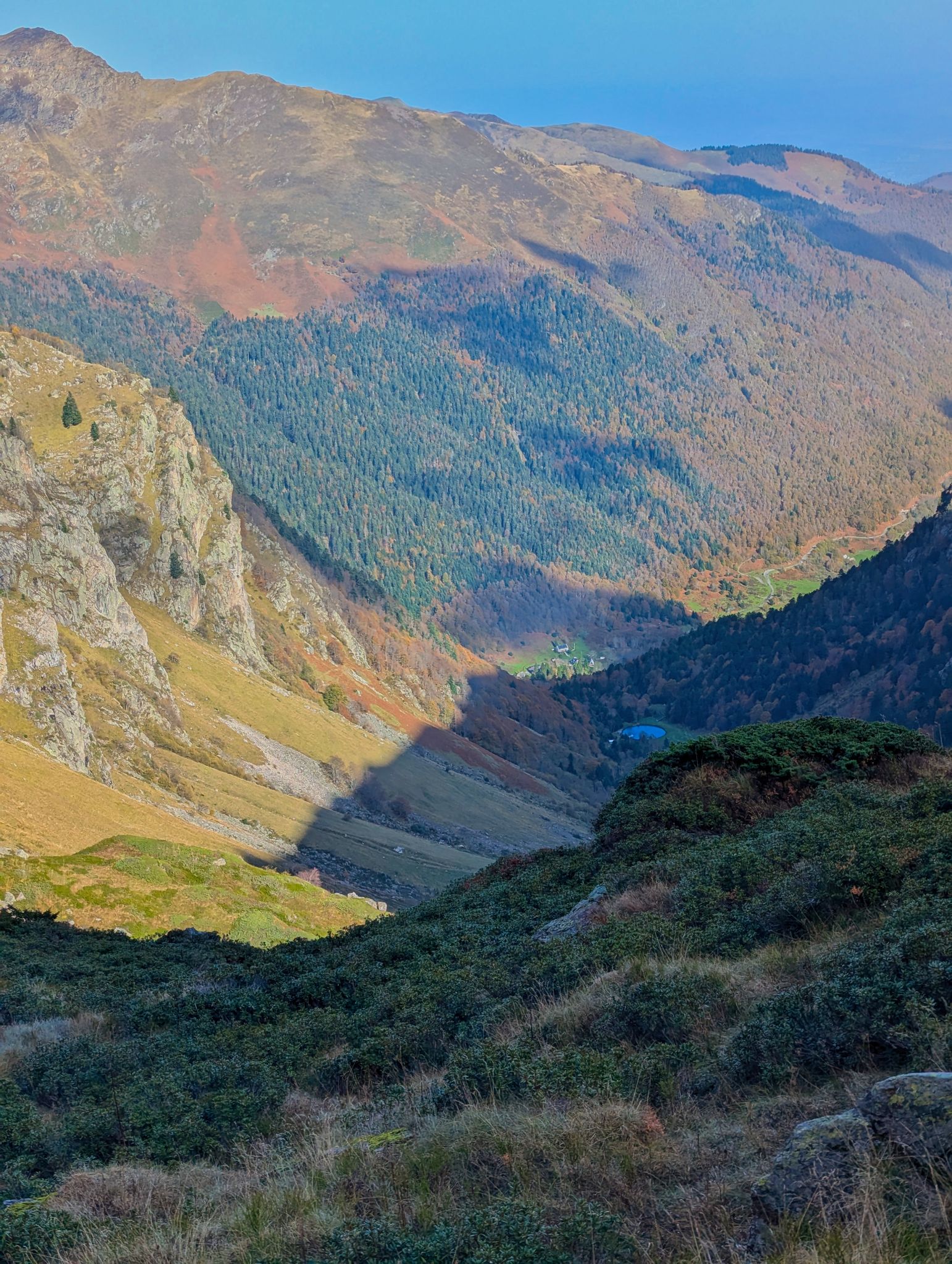 PXL 20241031 103419691