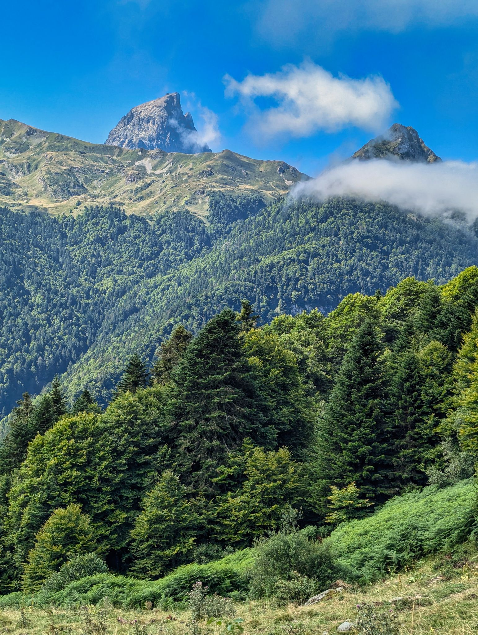 PXL 20240816 095619327