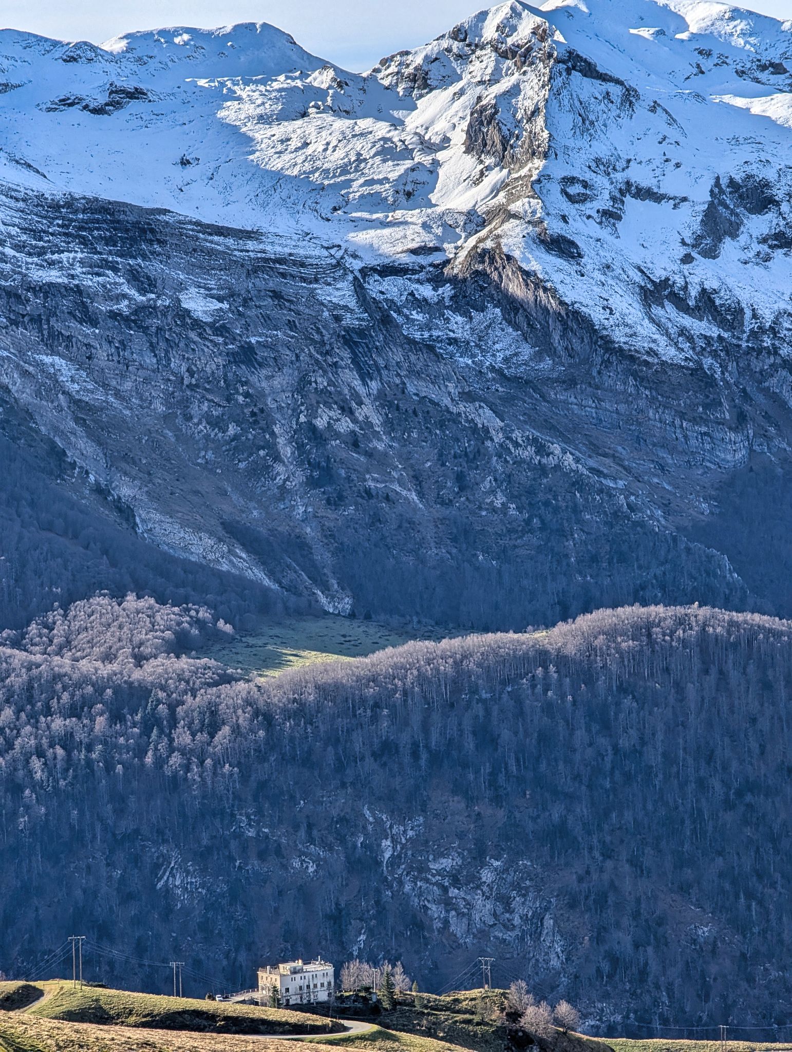 PXL 20251111 092228523