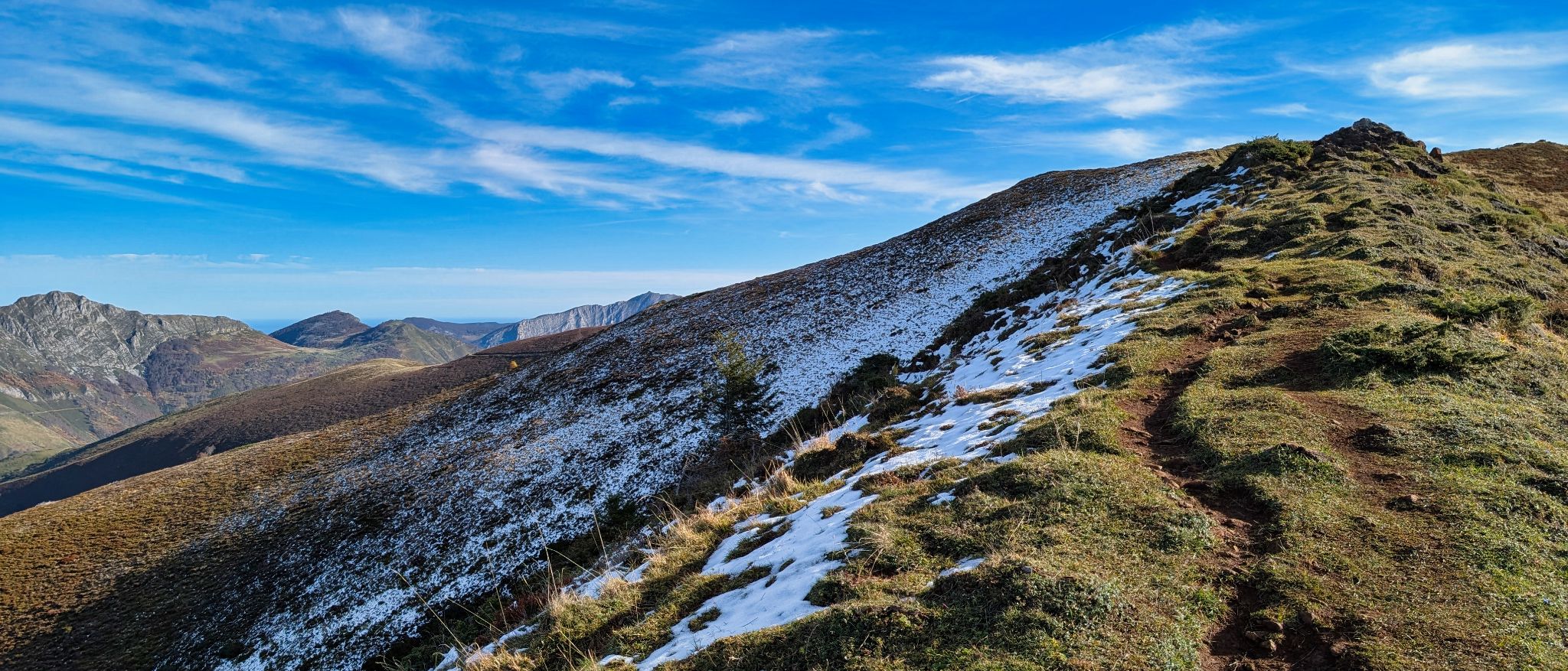 PXL 20251111 094616236