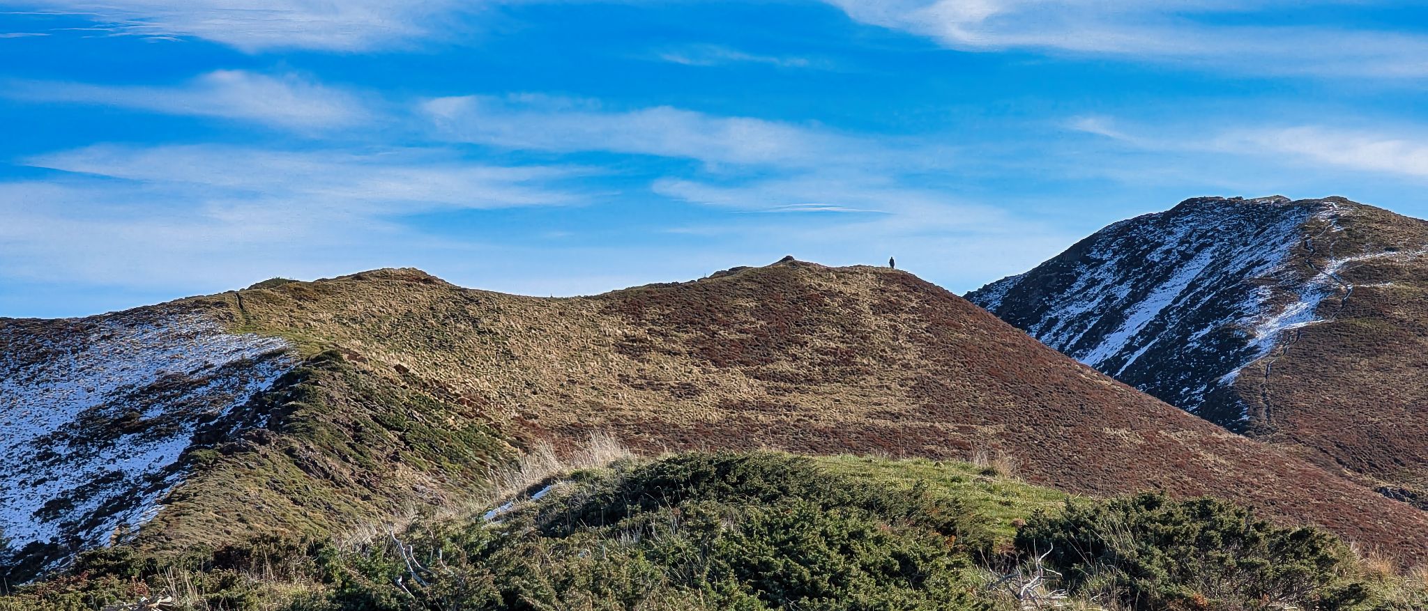 PXL 20251111 100043119