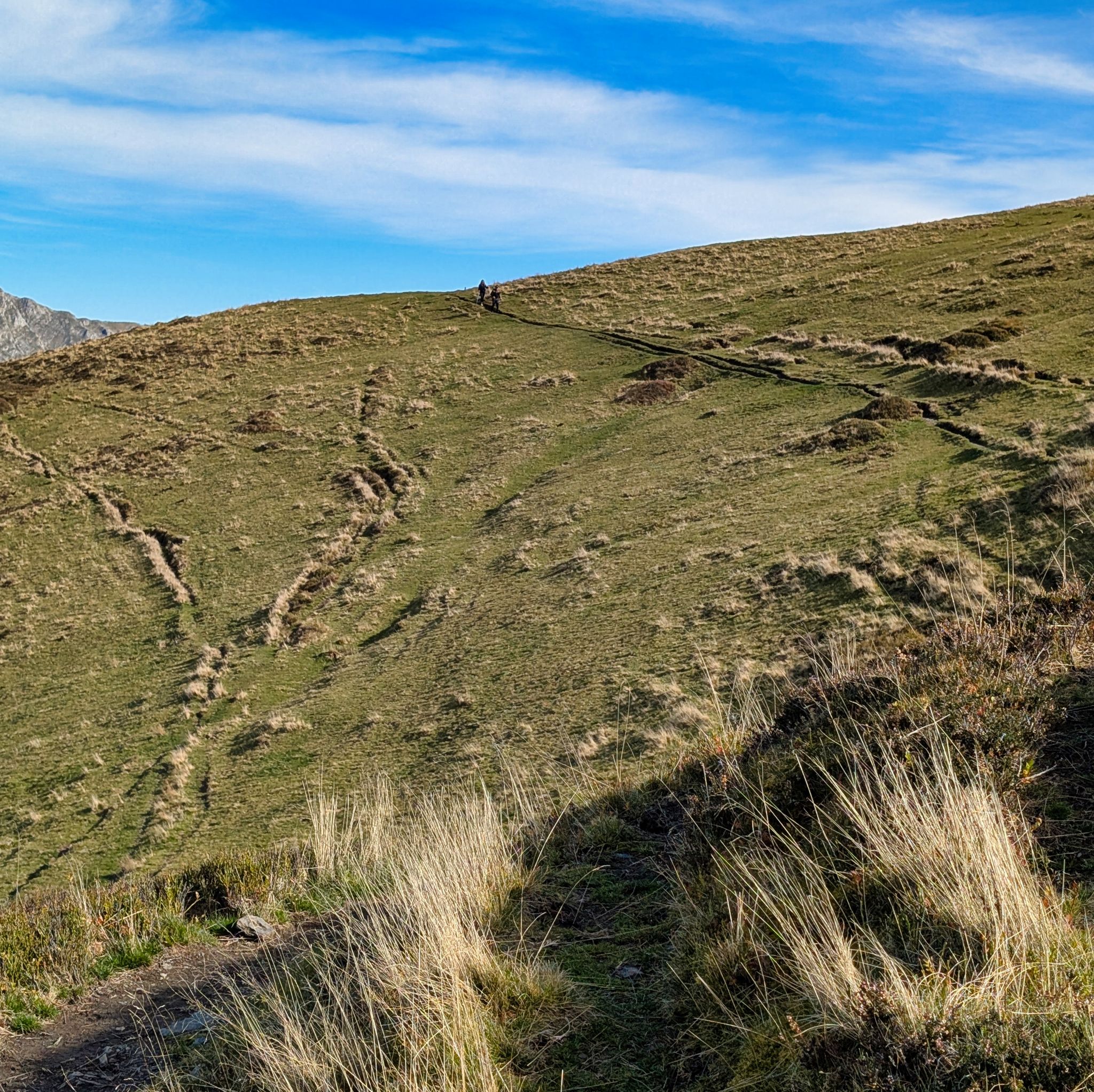 PXL 20251111 104420497