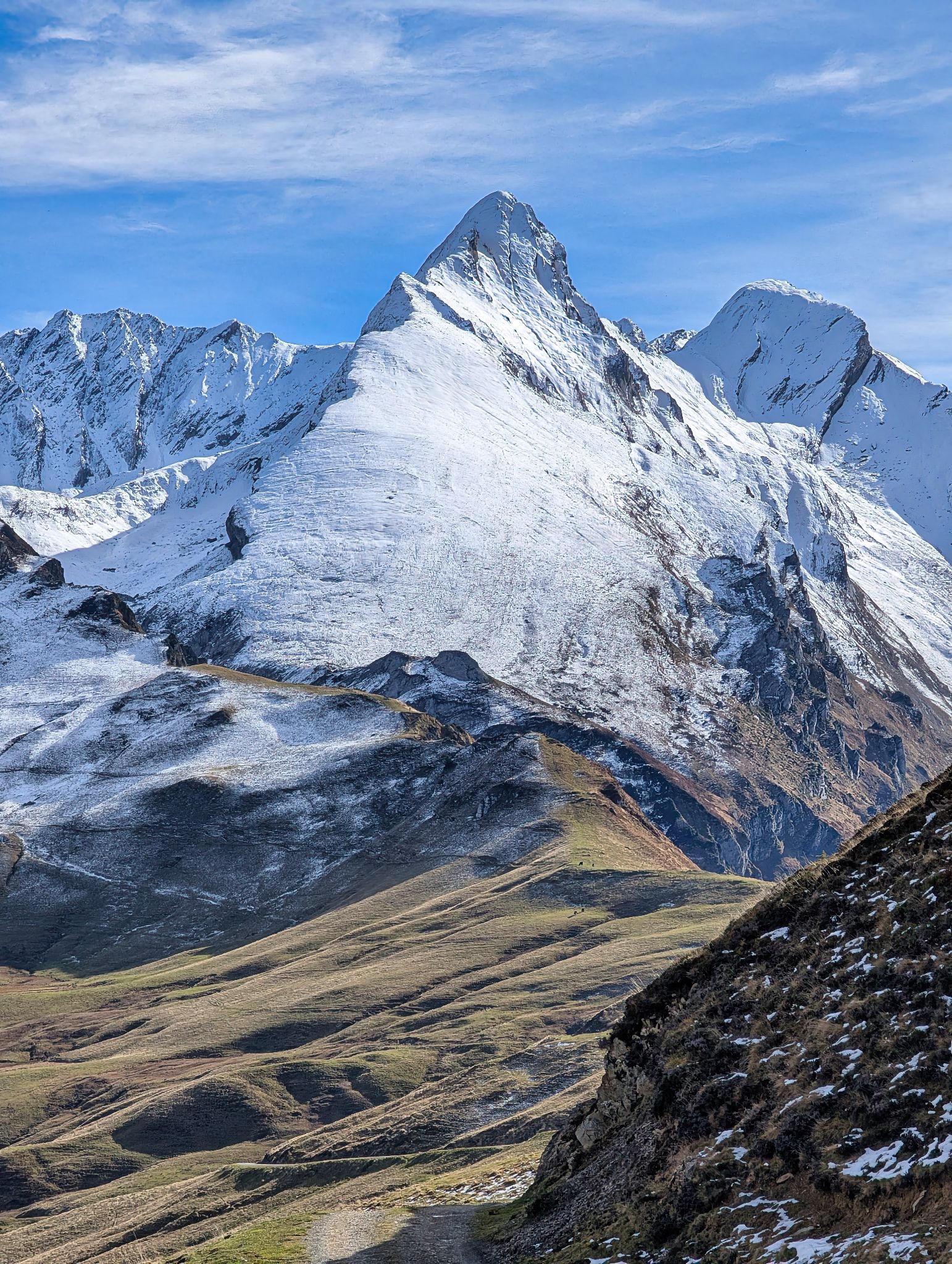 PXL 20251111 122029797