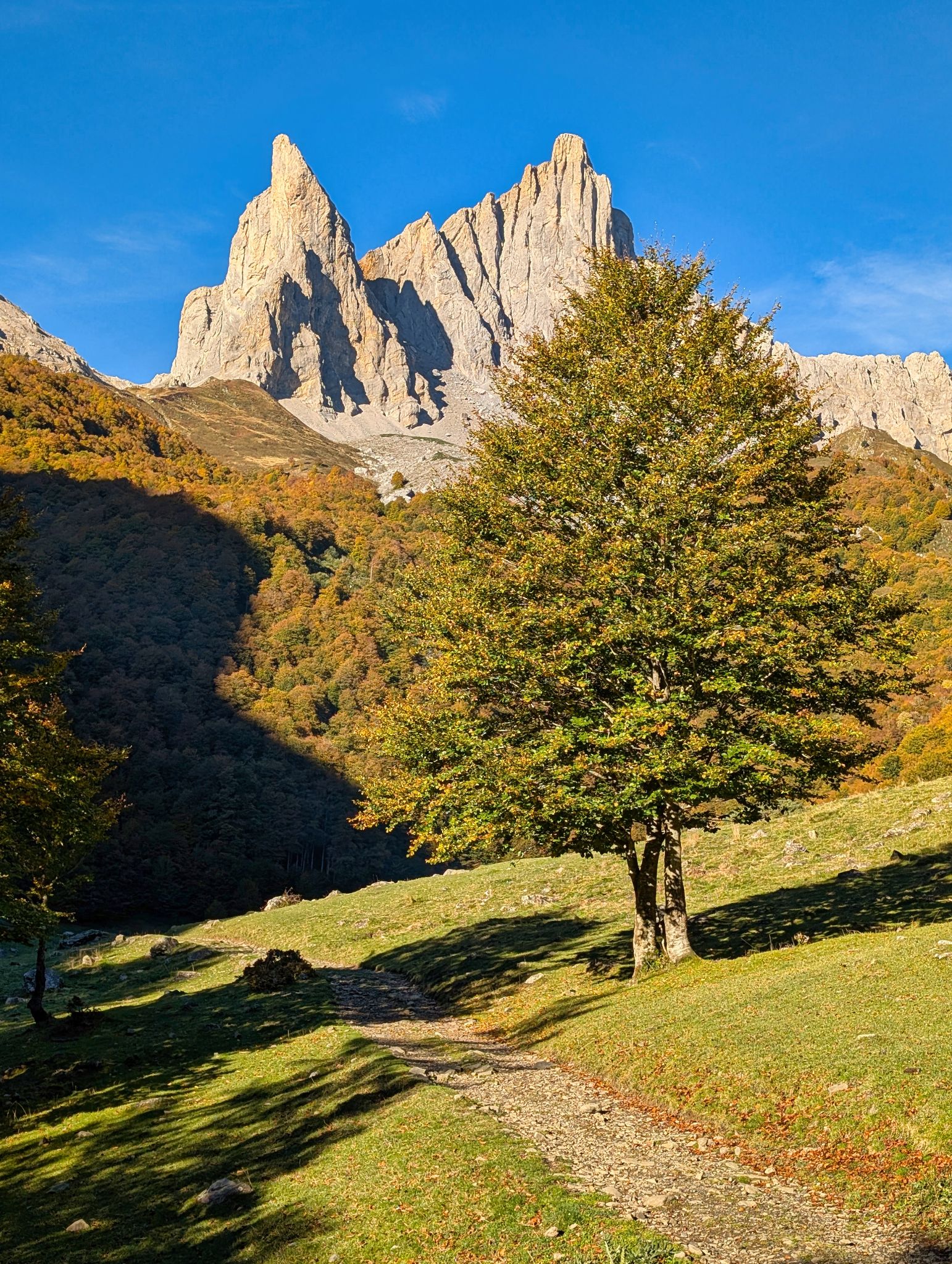 PXL 20251006 075944407