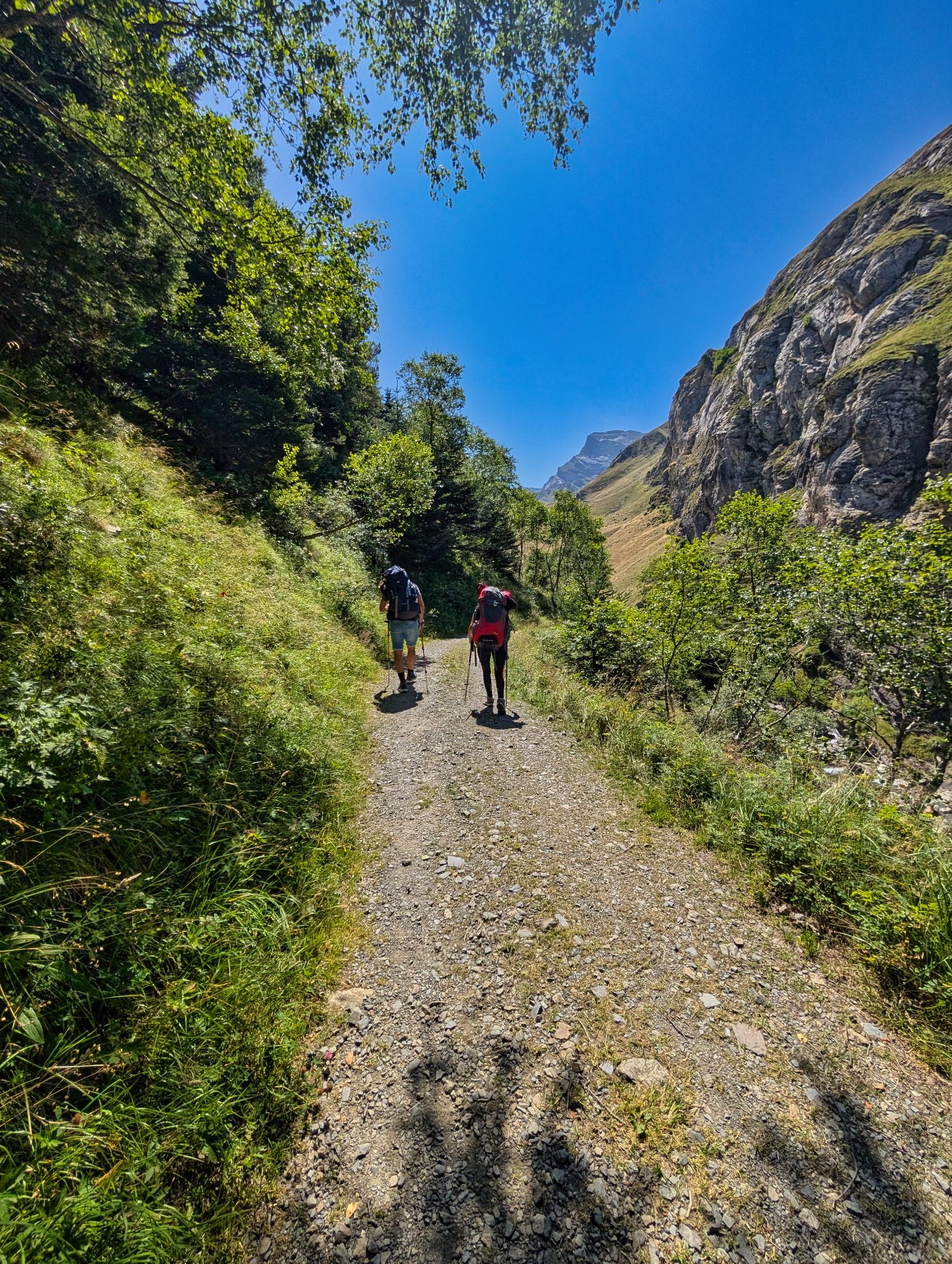 PXL 20250802 131155990