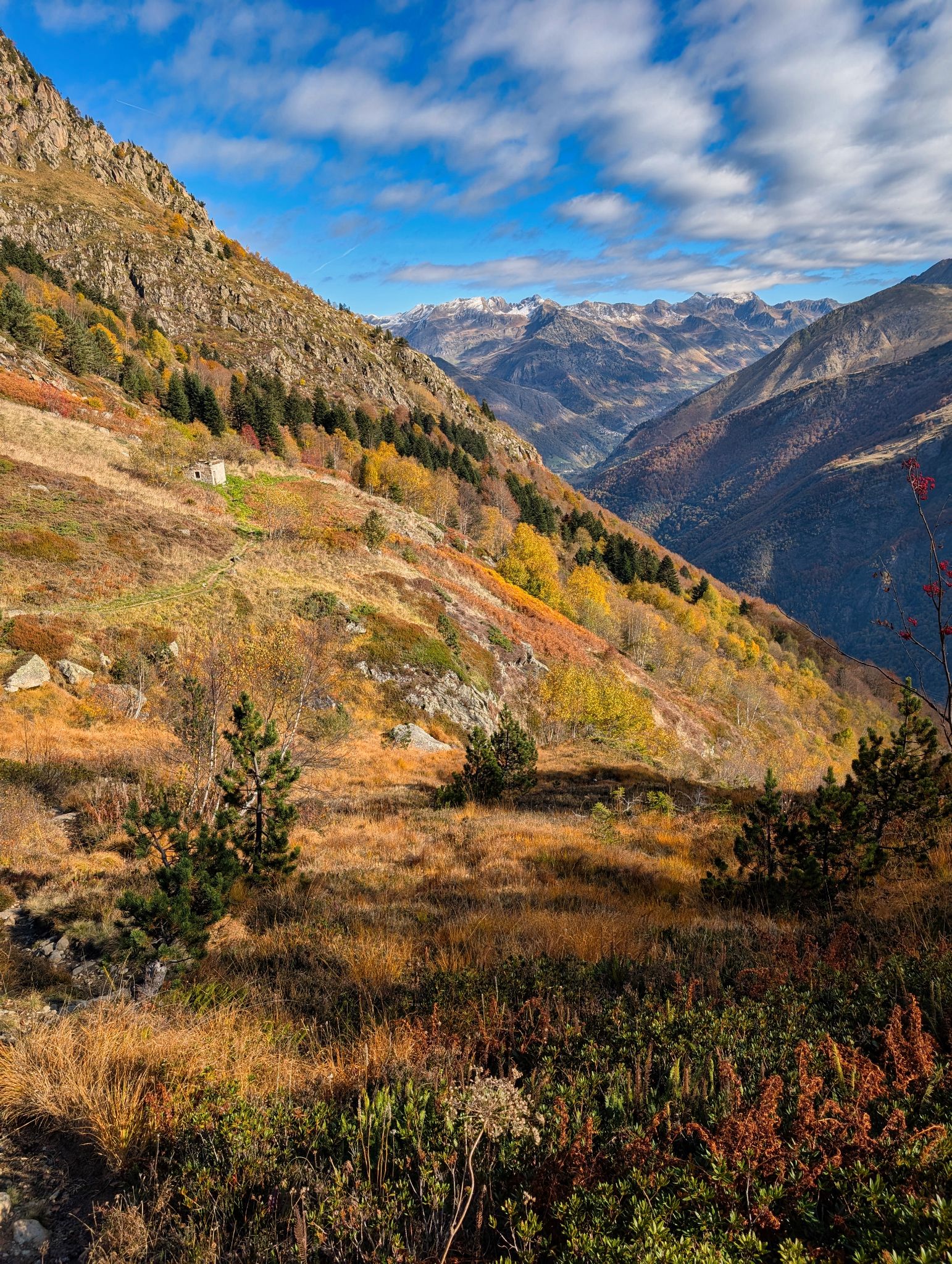 PXL 20251027 095326075.MP