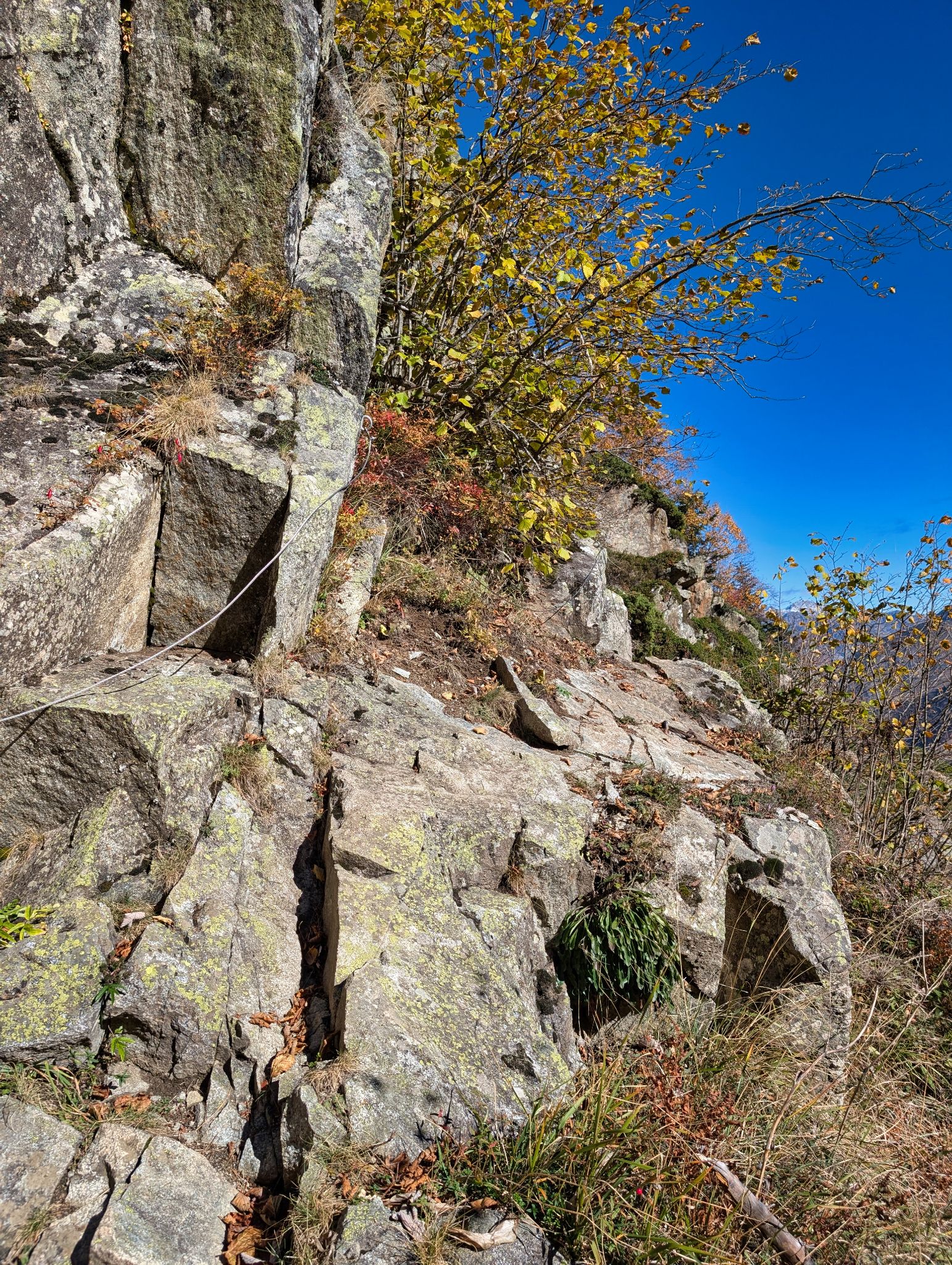 PXL 20251027 103012588.MP