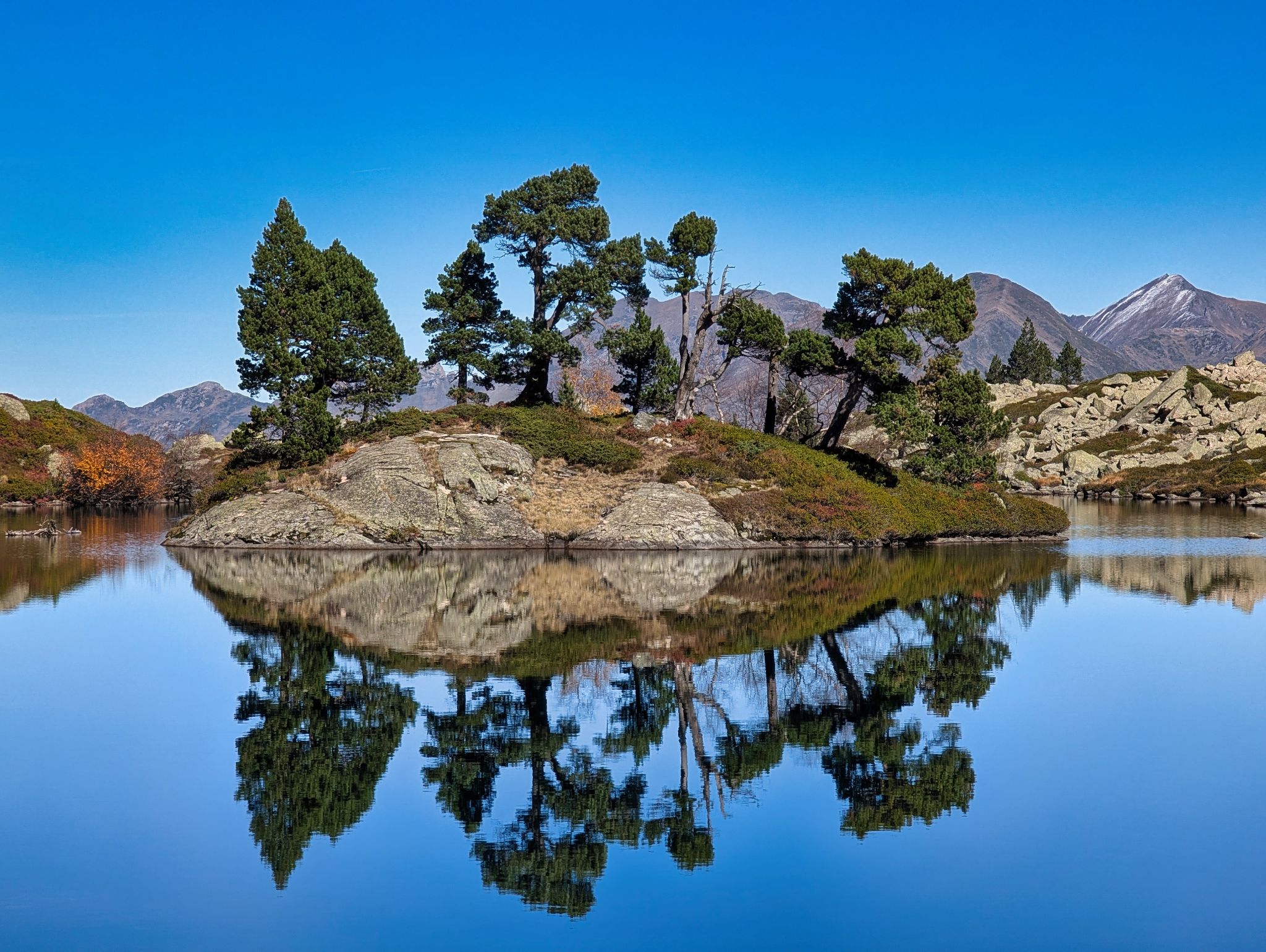 PXL 20251027 113330203