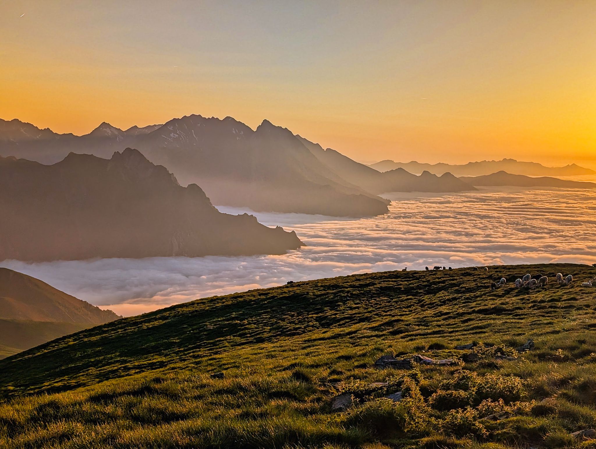 PXL 20250616 192035511