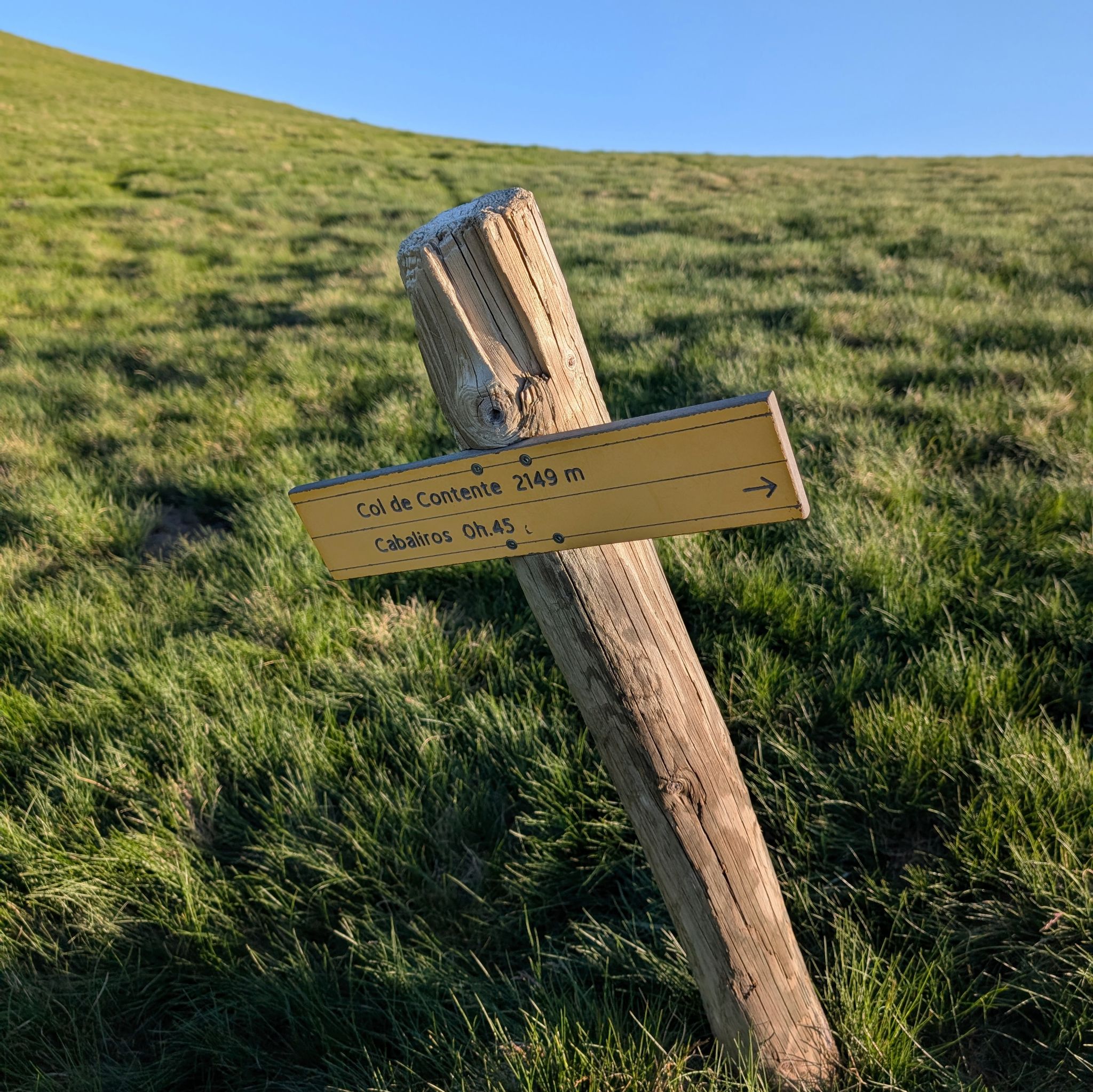 PXL 20250617 053734204.MP