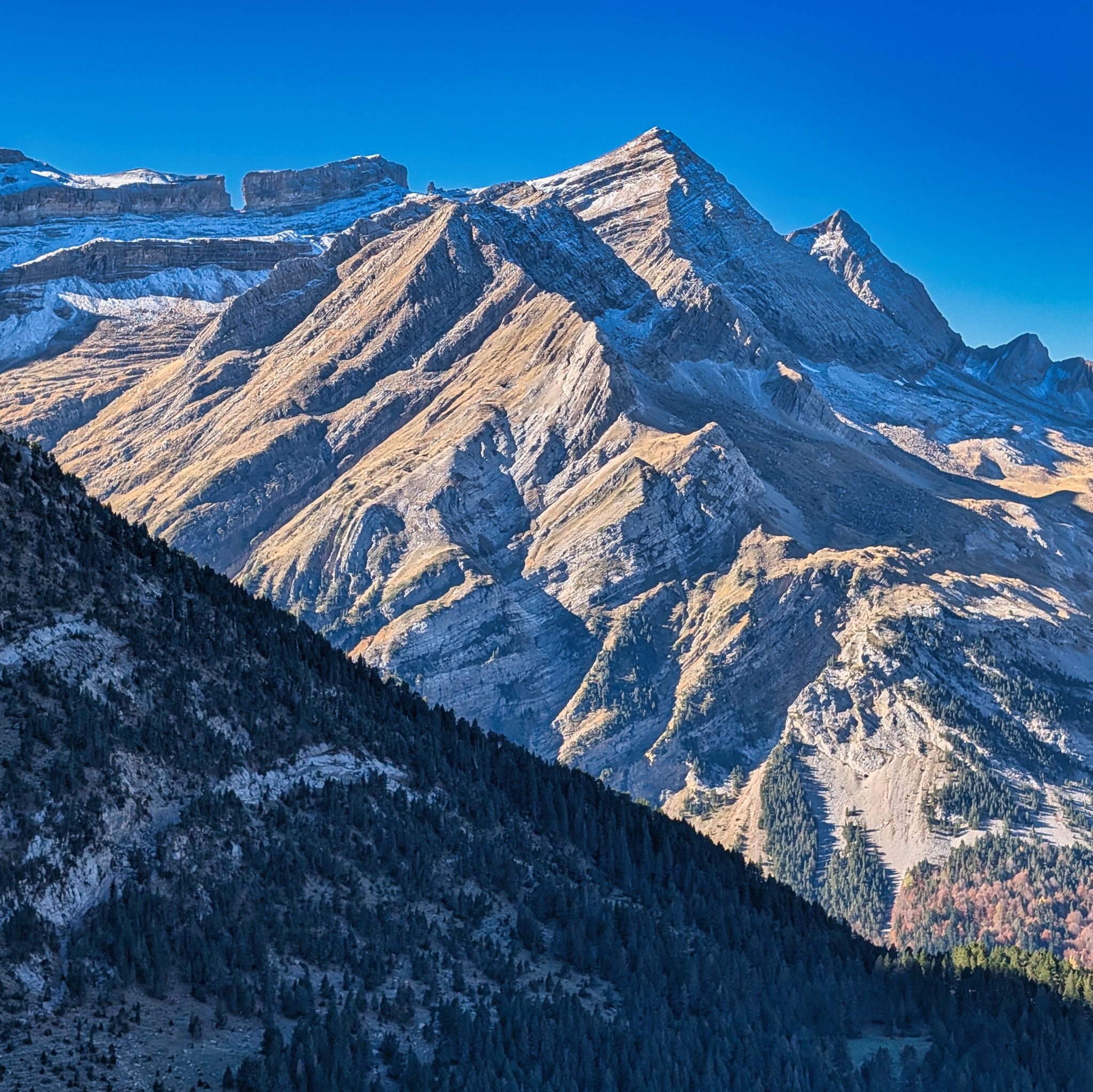 PXL 20251028 100609104