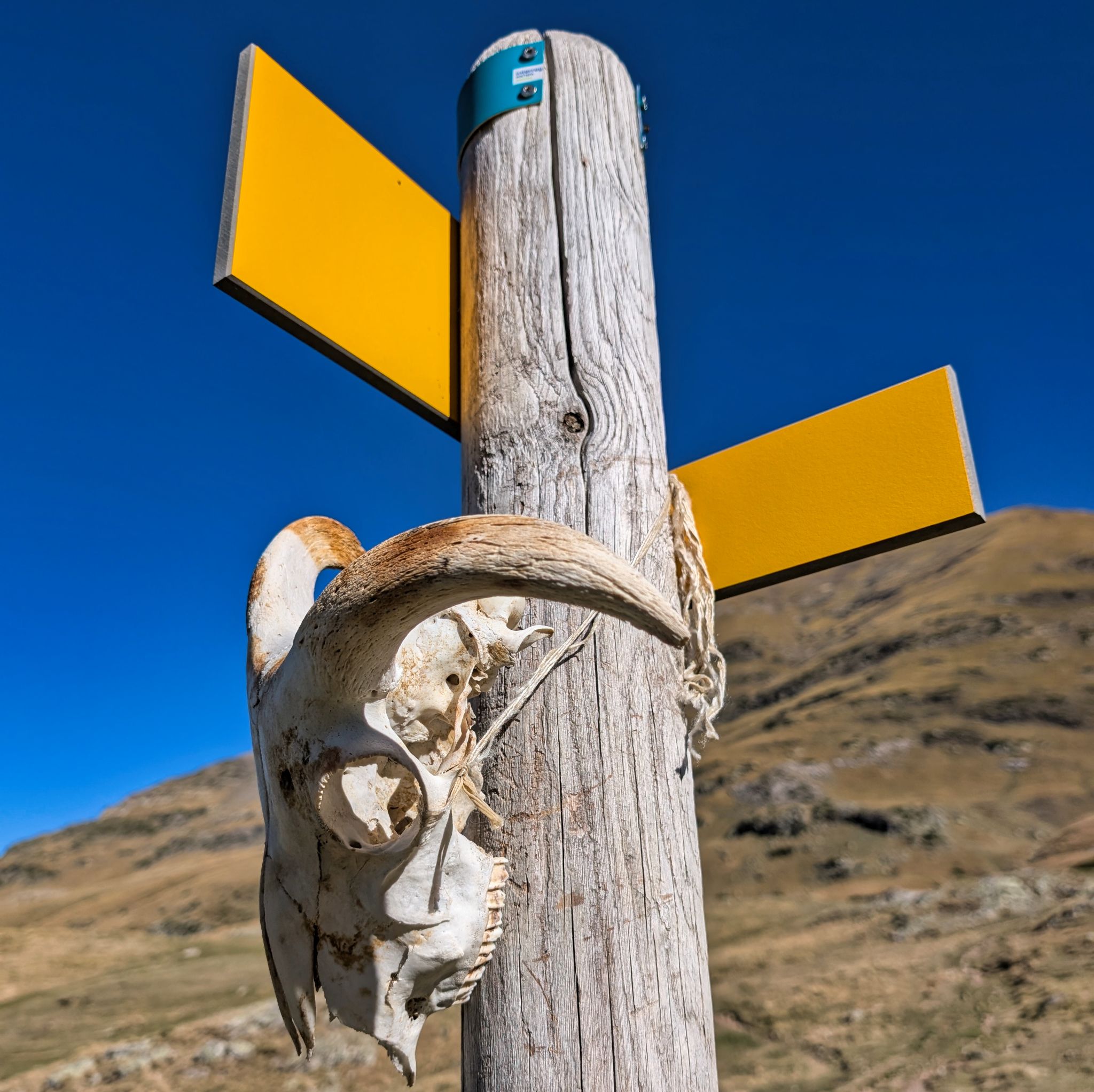 PXL 20251028 104312751