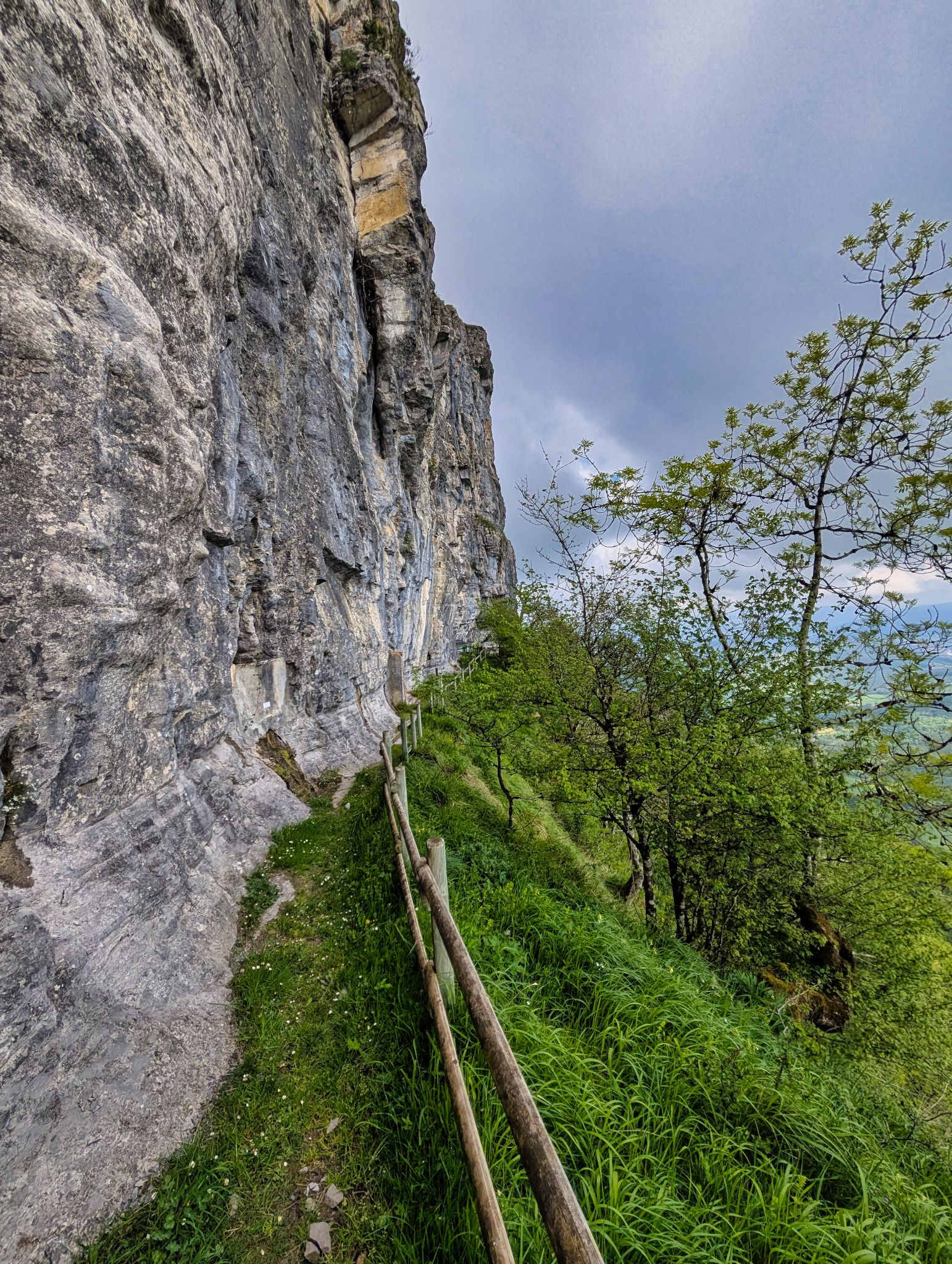 PXL 20250508 094221736