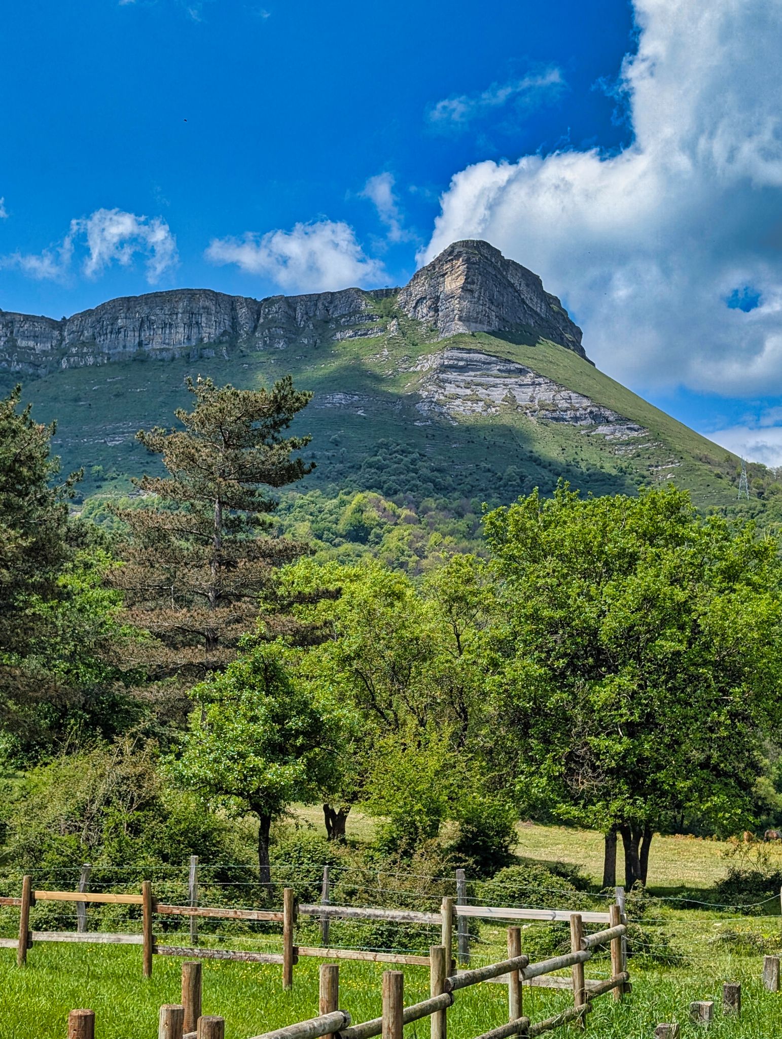 PXL 20250508 113004524