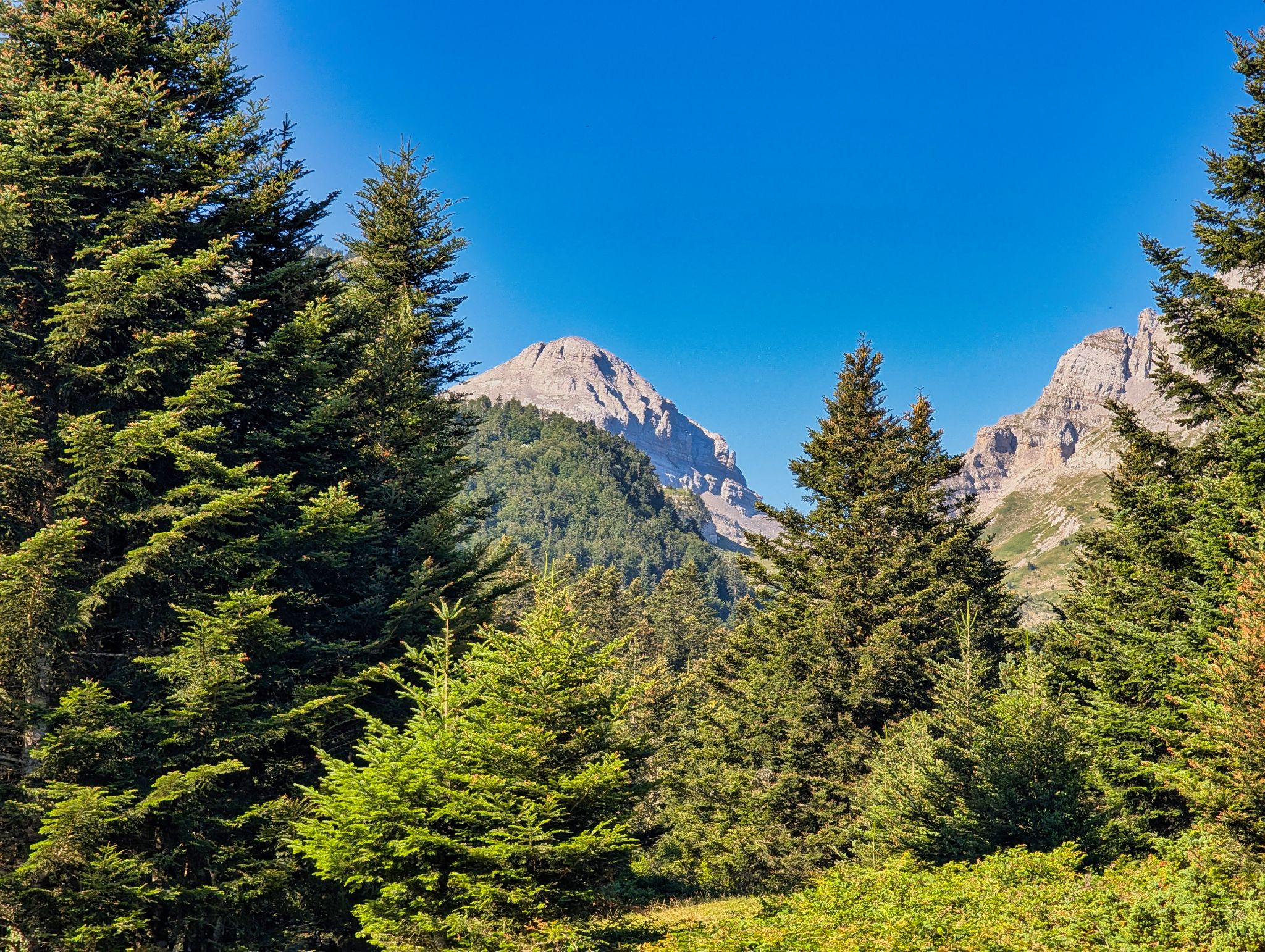 PXL 20250709 074849953