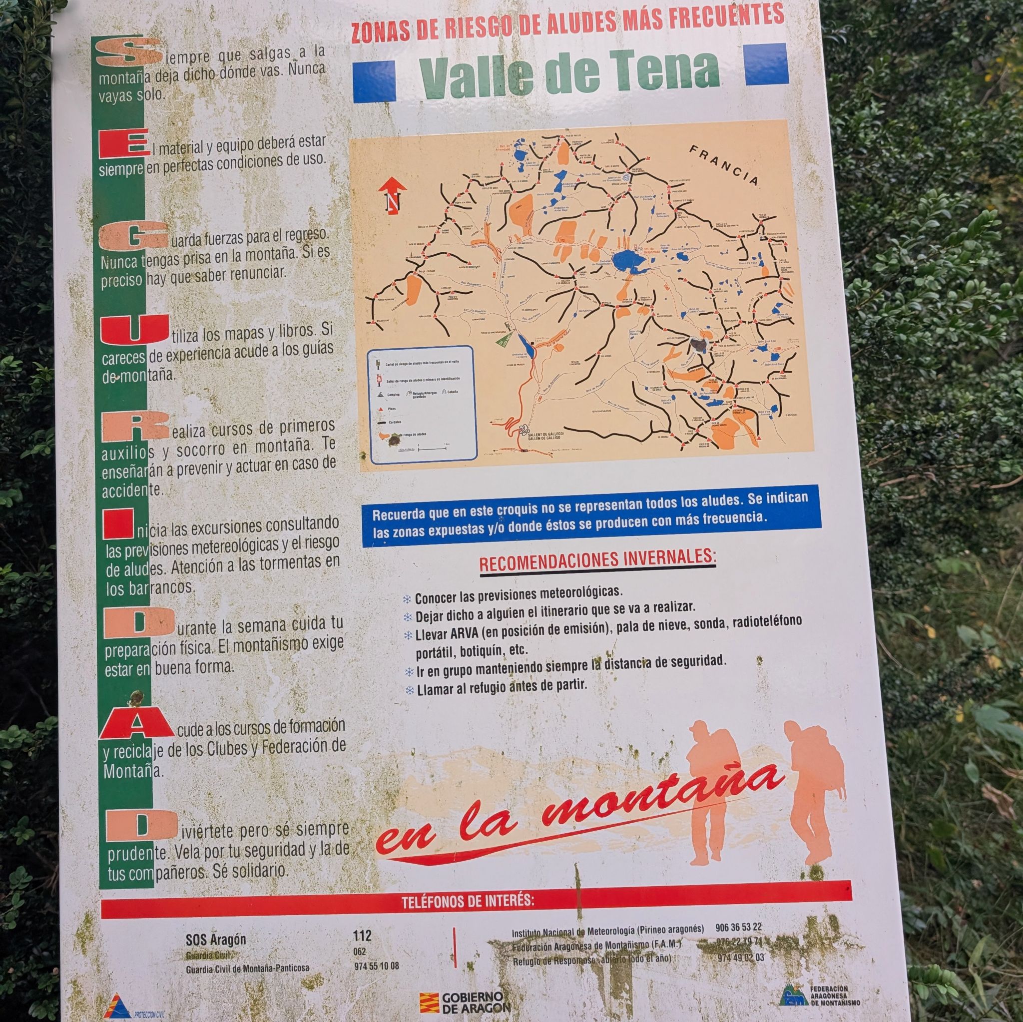 PXL 20250815 052947113.MP