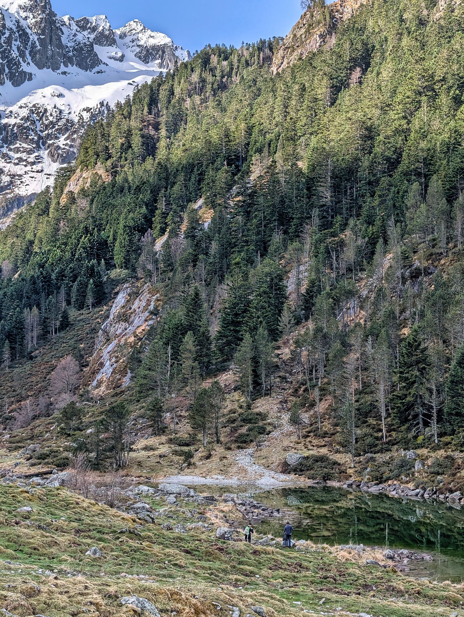 PXL 20250406 081327310