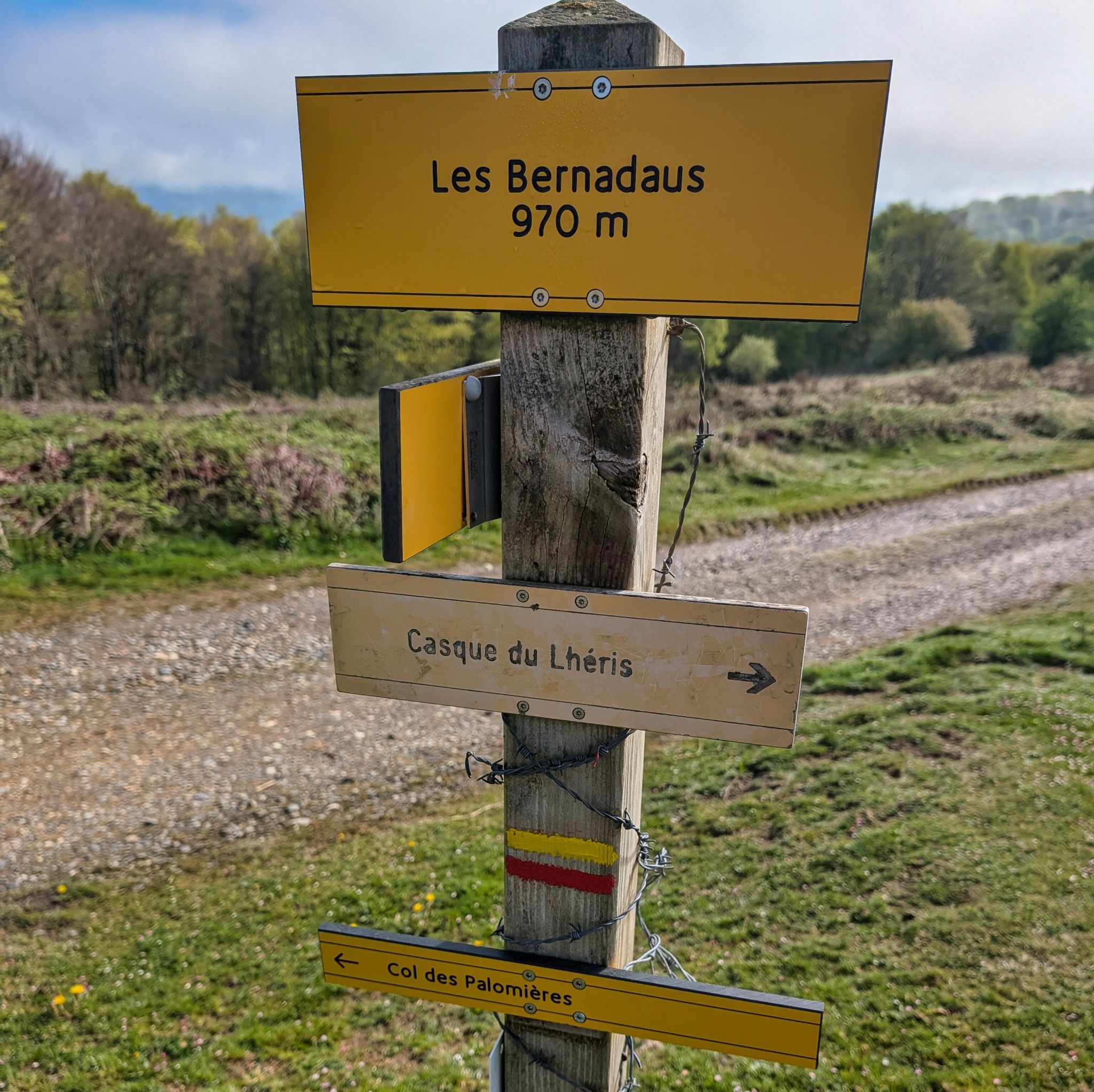 PXL 20250425 080926000