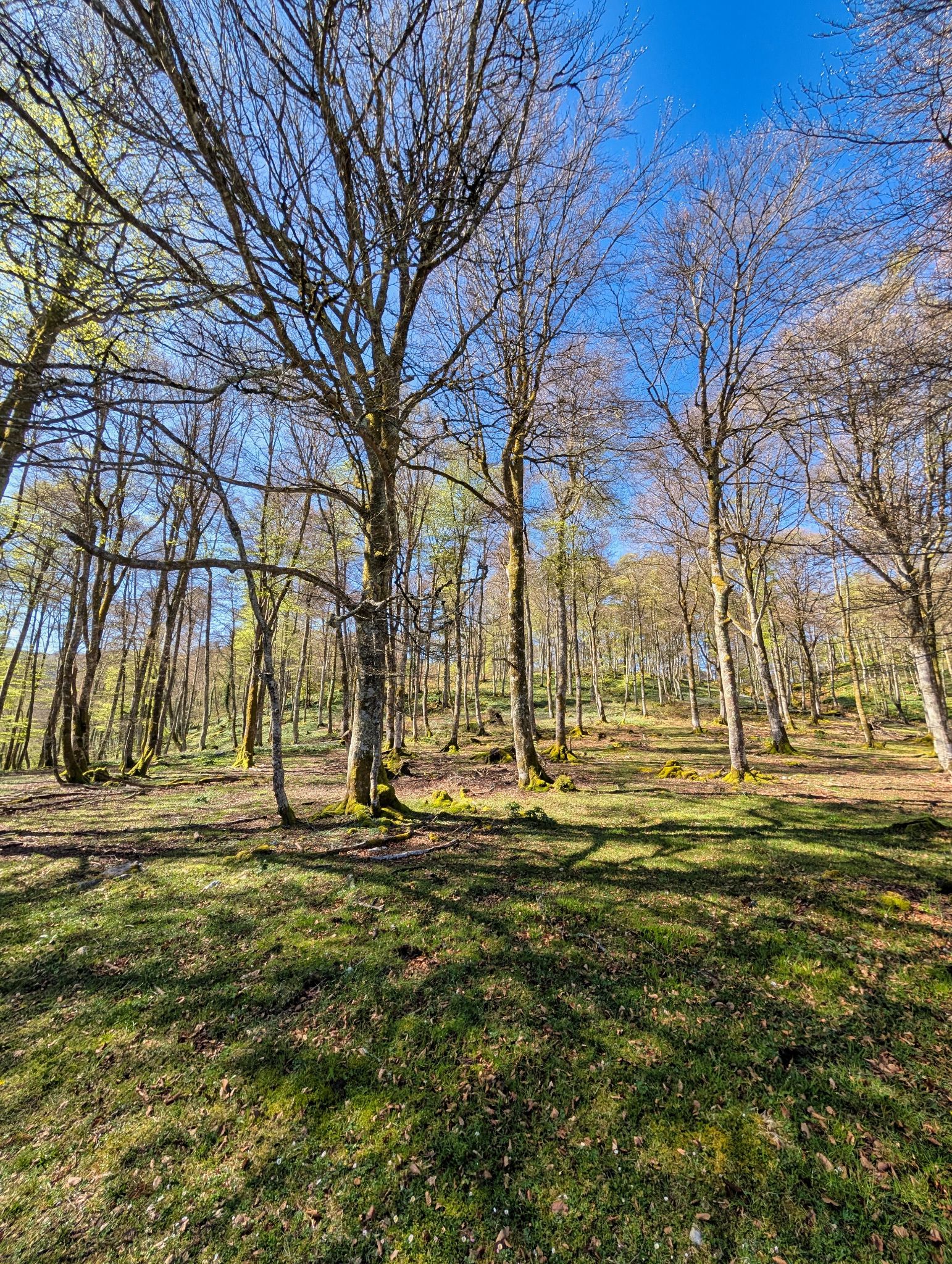 PXL 20250425 085332948