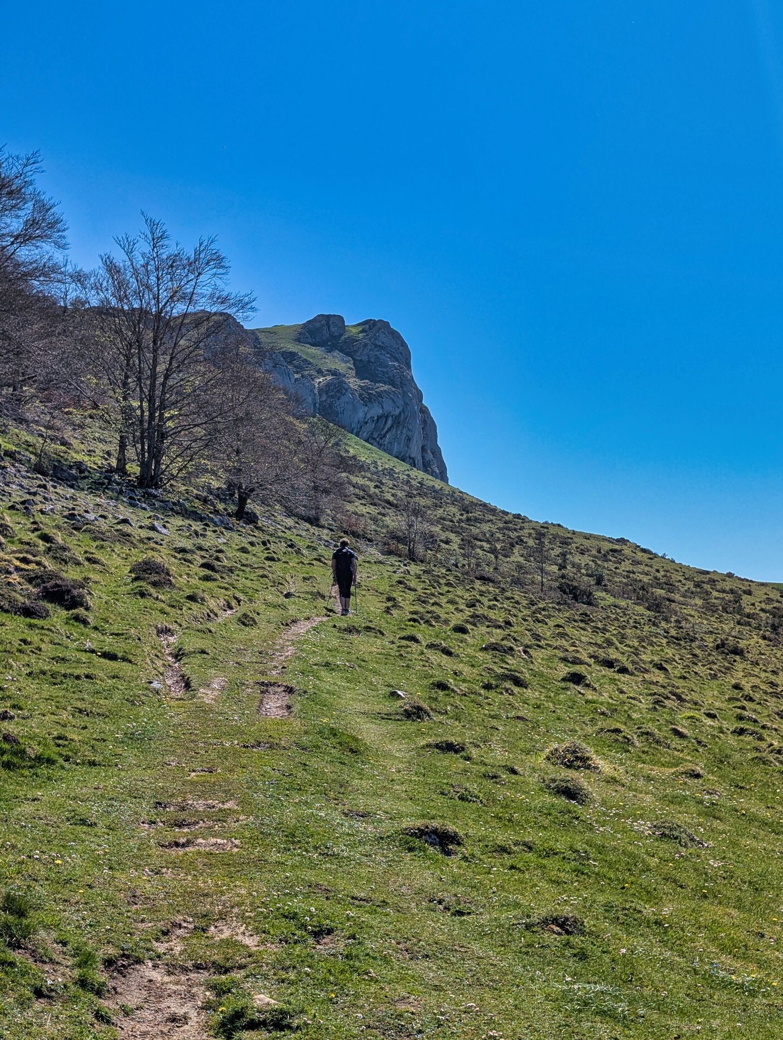 PXL 20250425 093310302