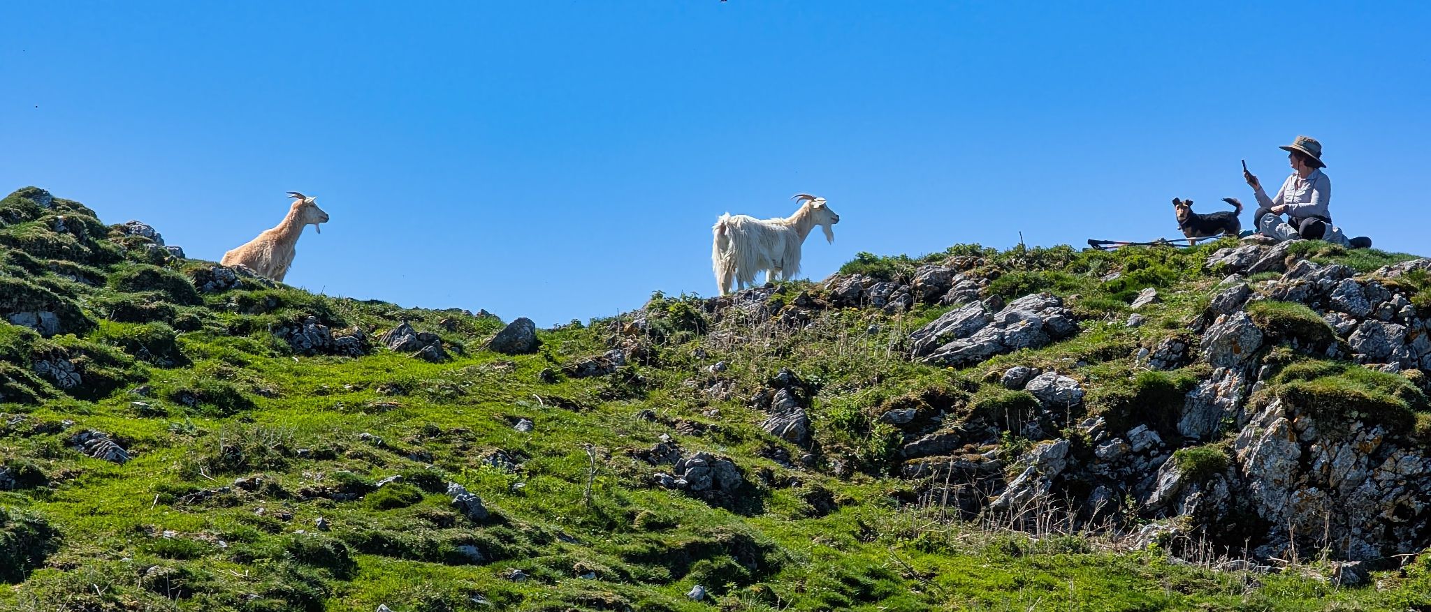 PXL 20250425 101045376