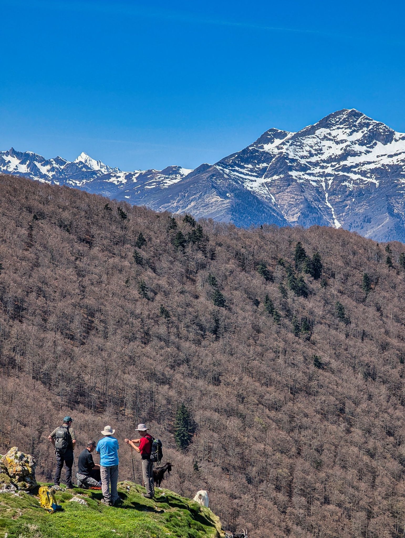 PXL 20250425 102022271