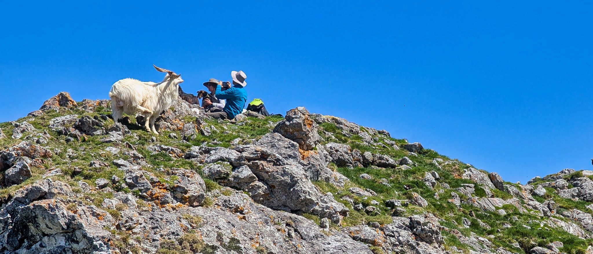 PXL 20250425 105659342