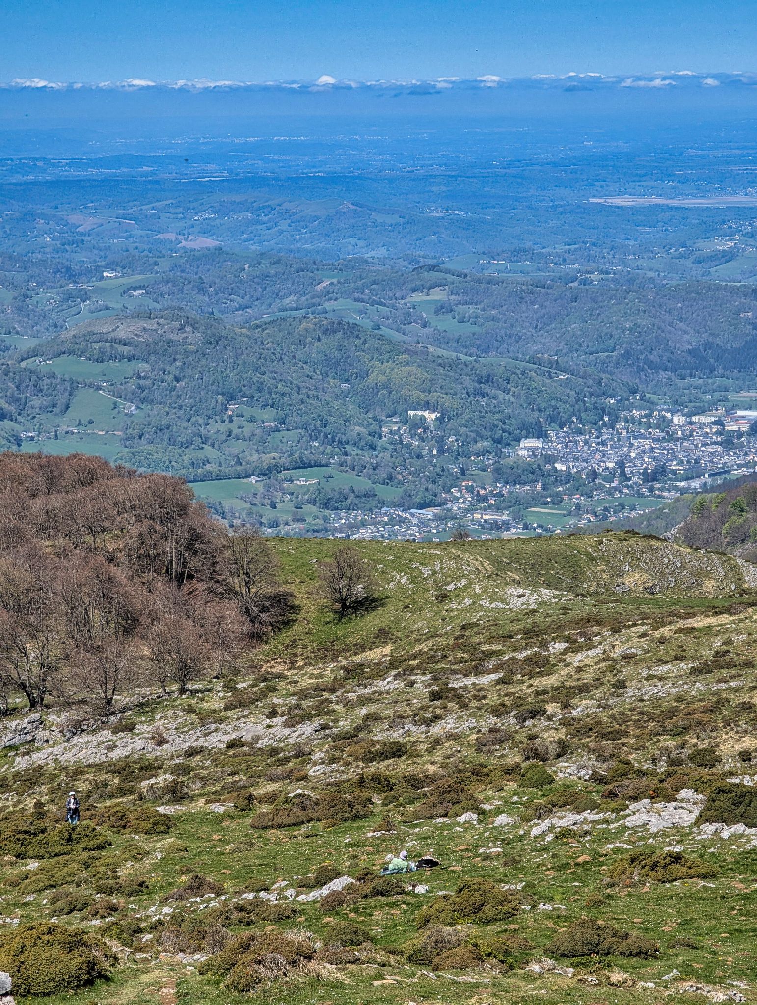 PXL 20250425 110628716