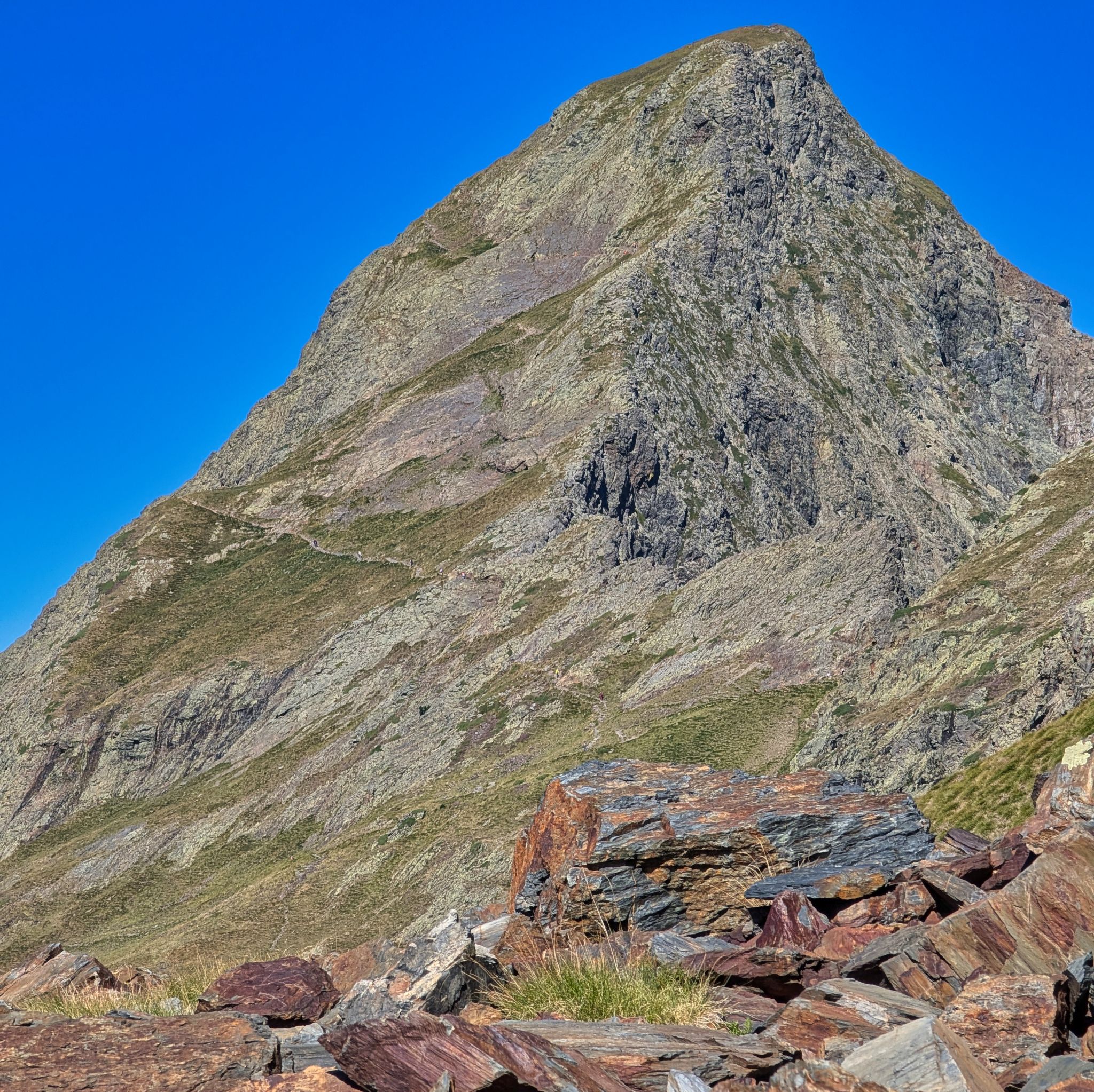 PXL 20250830 085543520