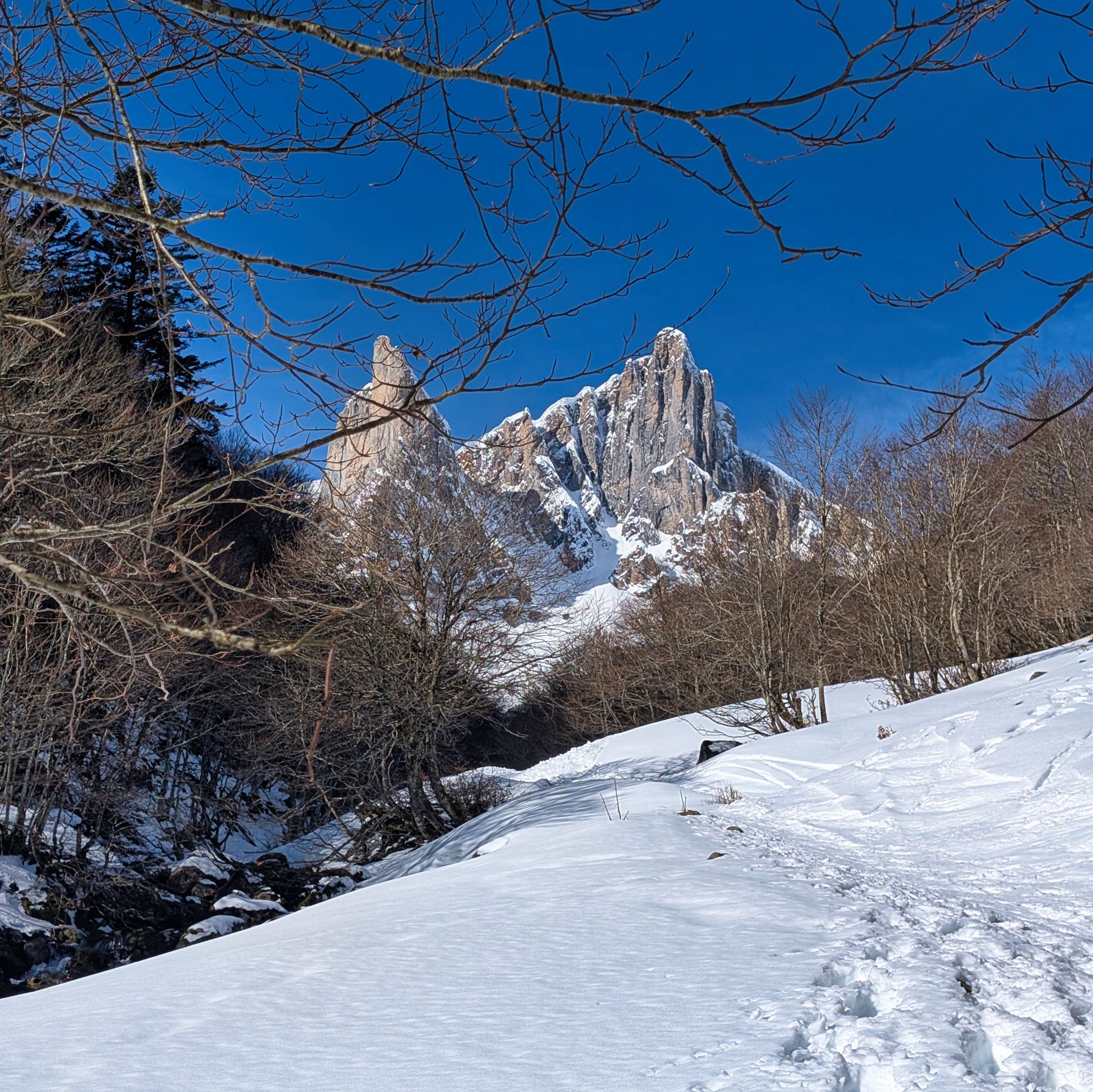 PXL 20260222 095659821