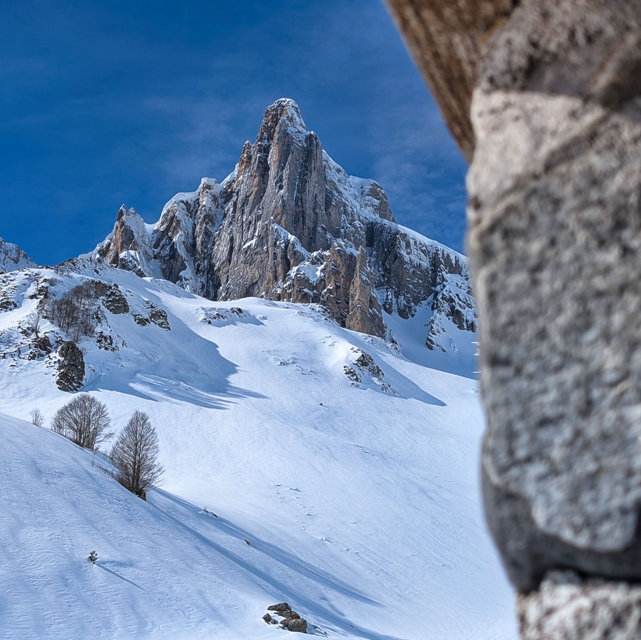 PXL 20260222 111430735