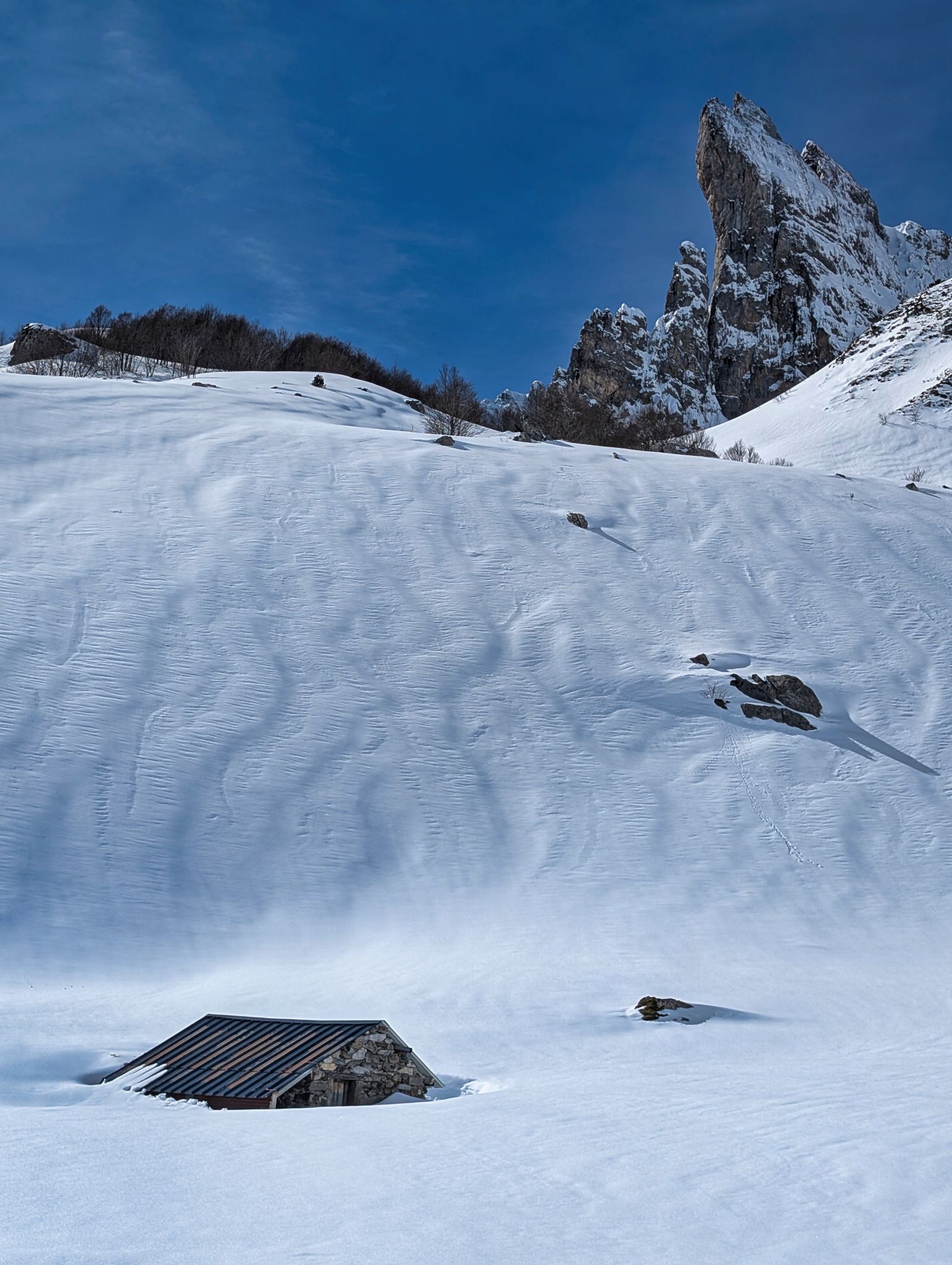 PXL 20260222 111528096