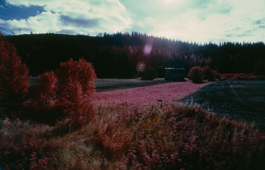 Photos en Infrarouge