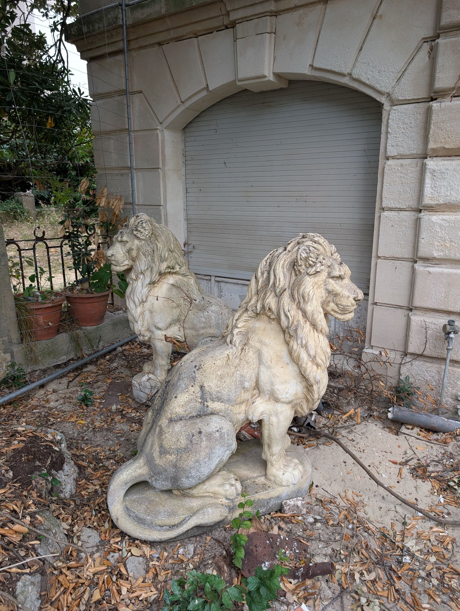 PXL 20251019 150803682