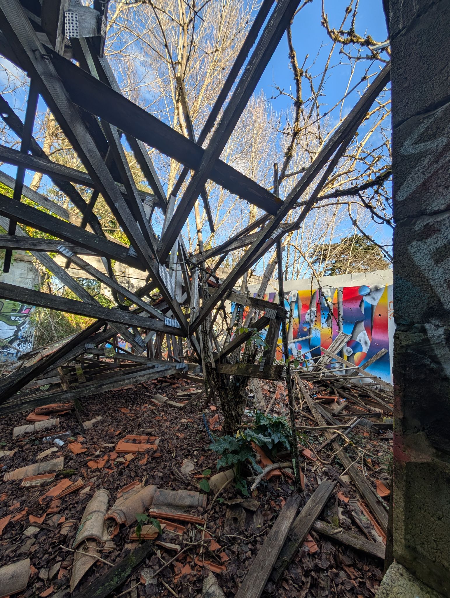 PXL 20250112 142009521