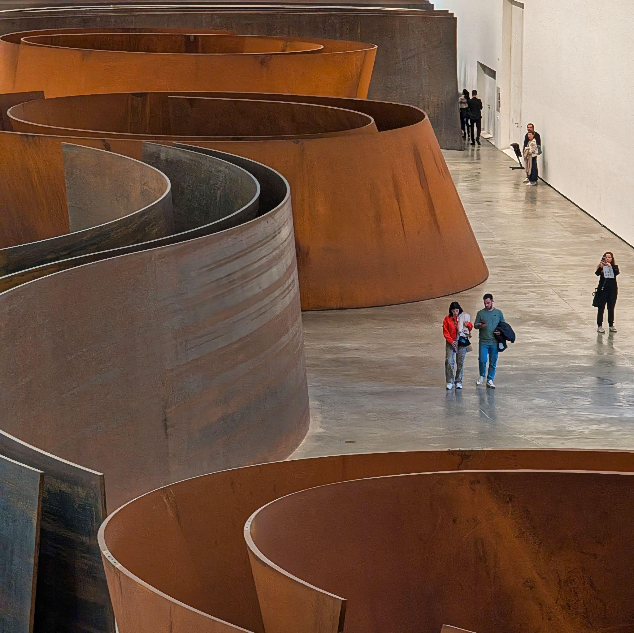 PXL 20250509 091559846