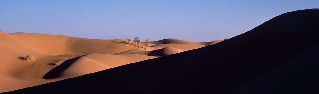 Sahara 19 1981