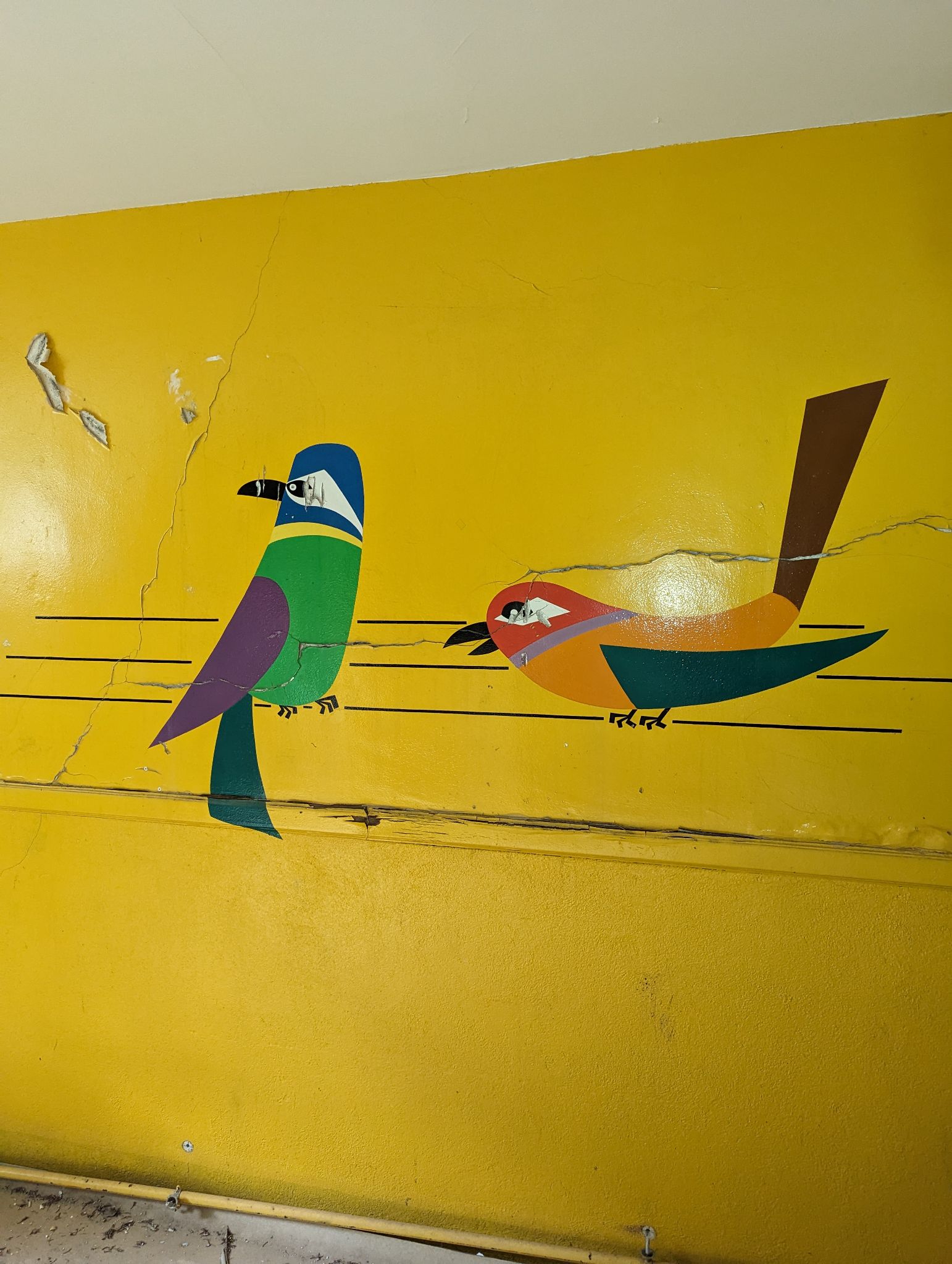 PXL 20240614 093501208