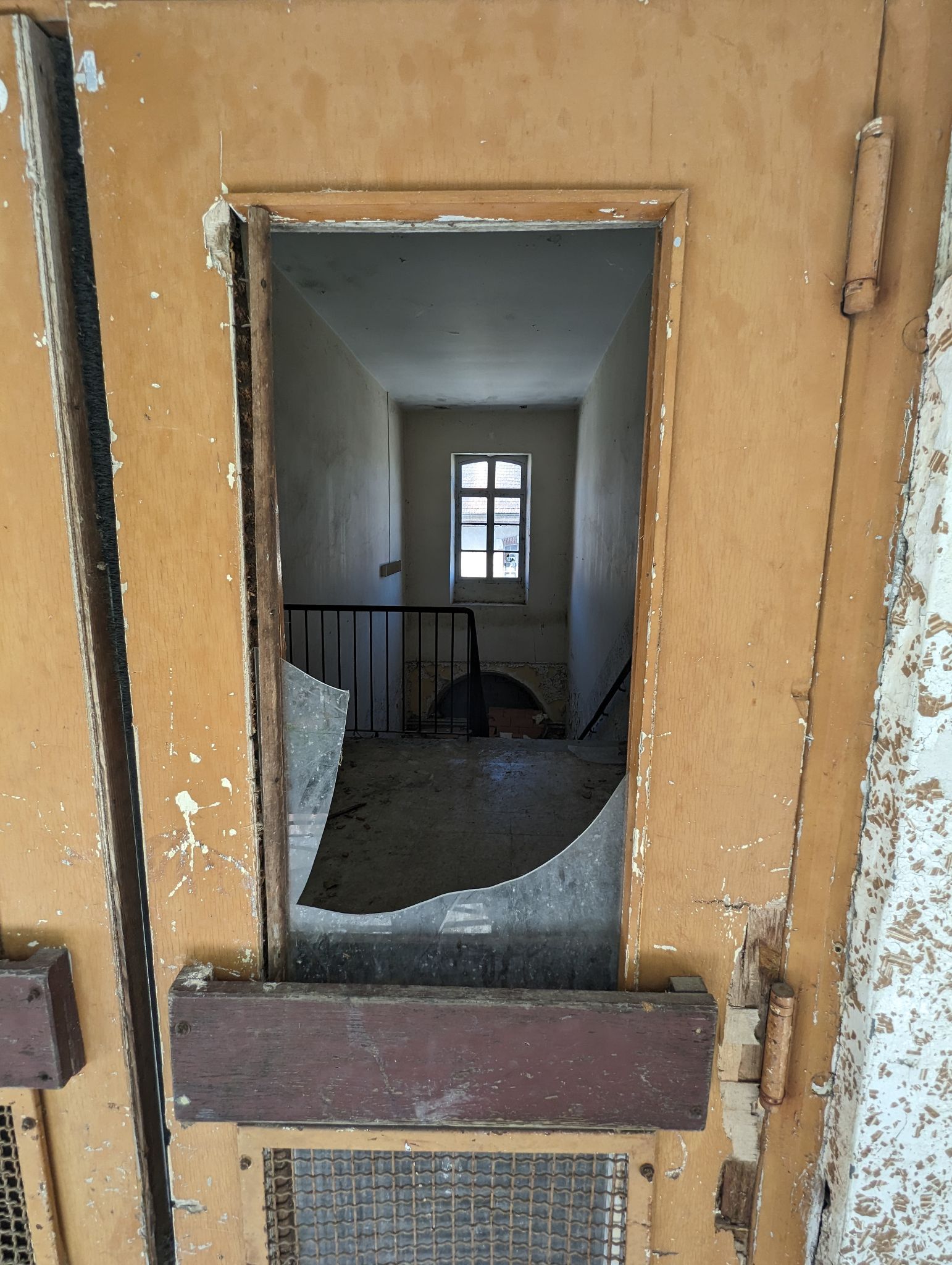 PXL 20240510 122637894