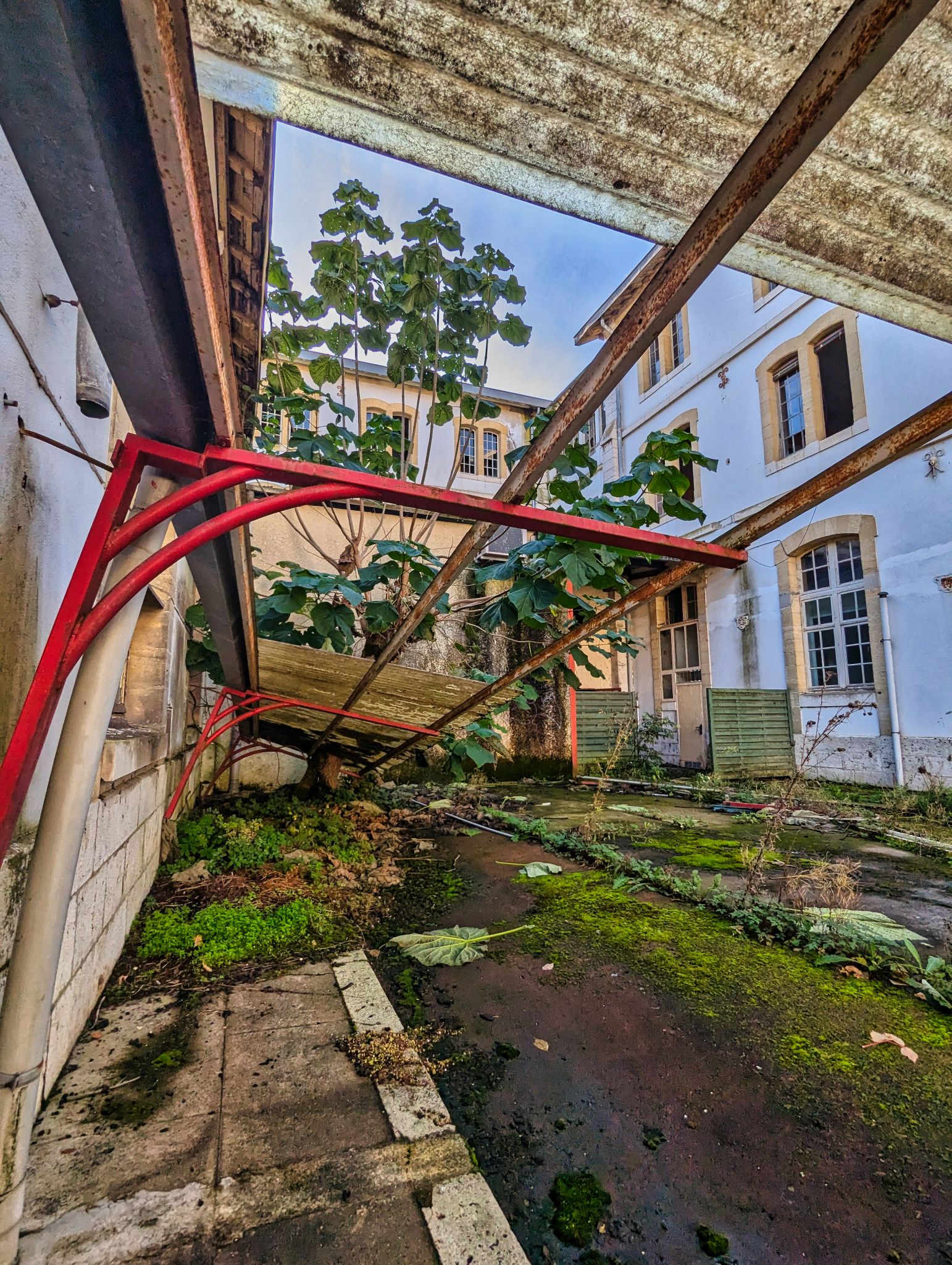 PXL 20241020 084820102