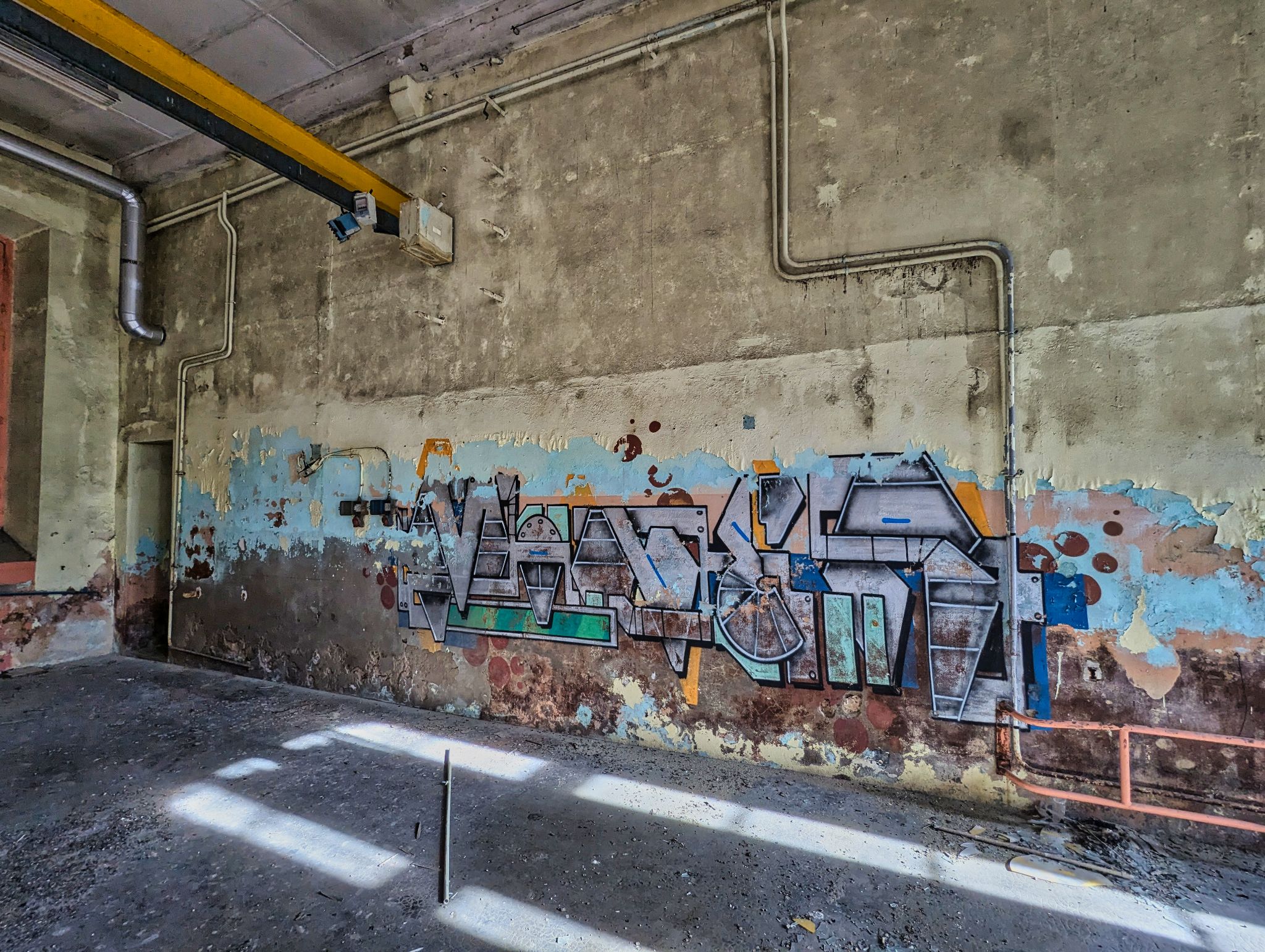 PXL 20241020 091342353