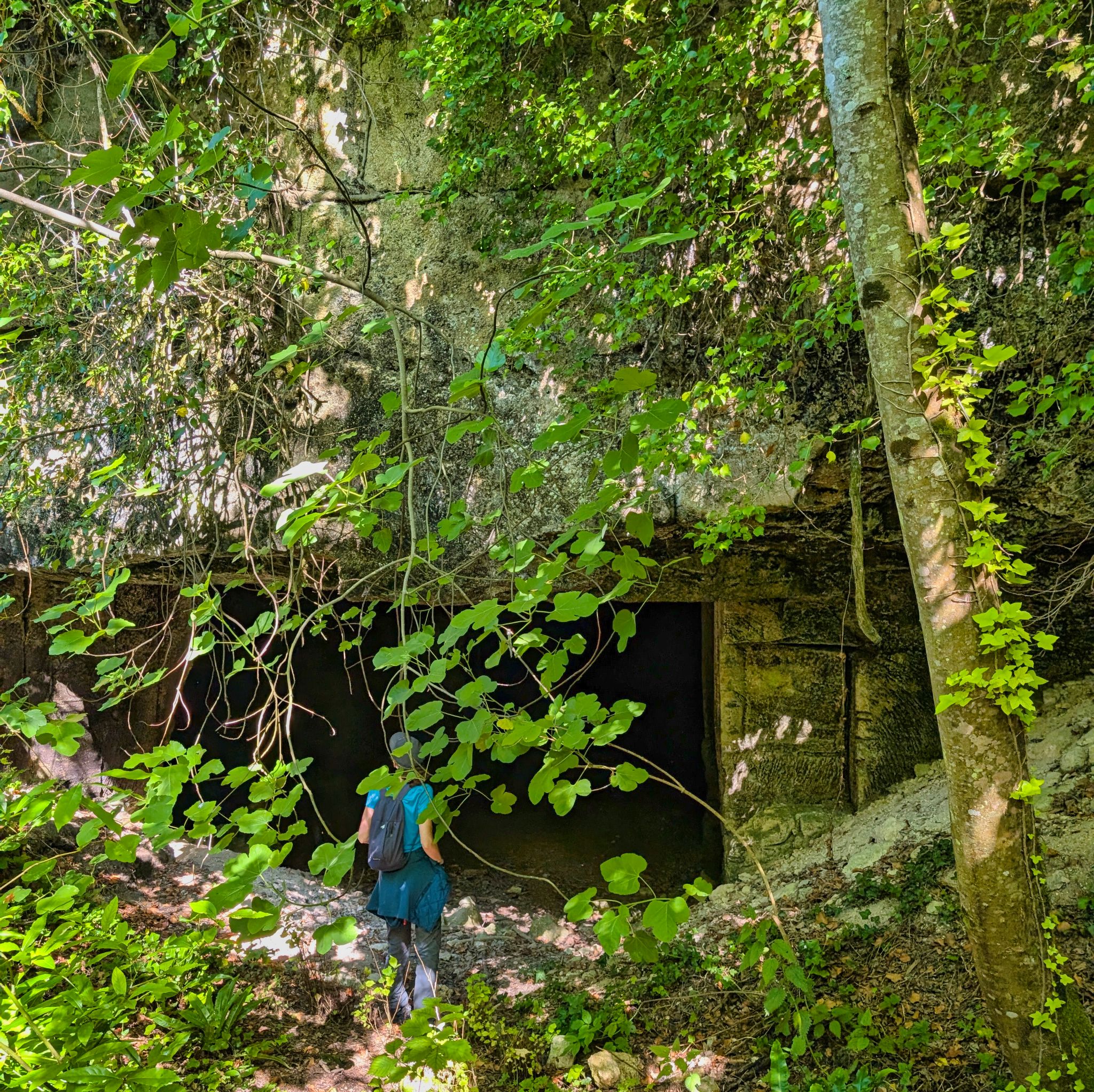 PXL 20250629 081150089