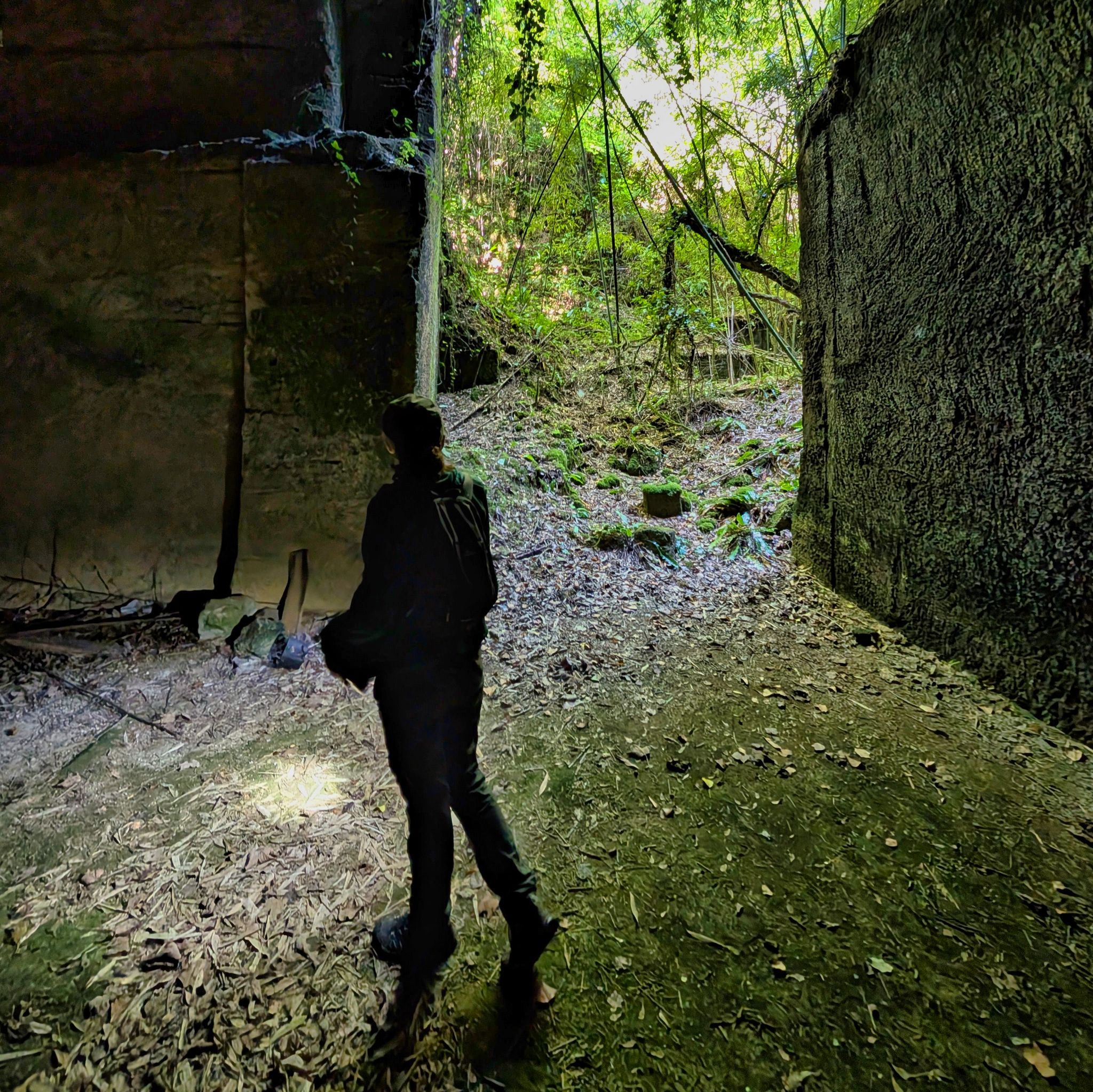 PXL 20250629 093919472