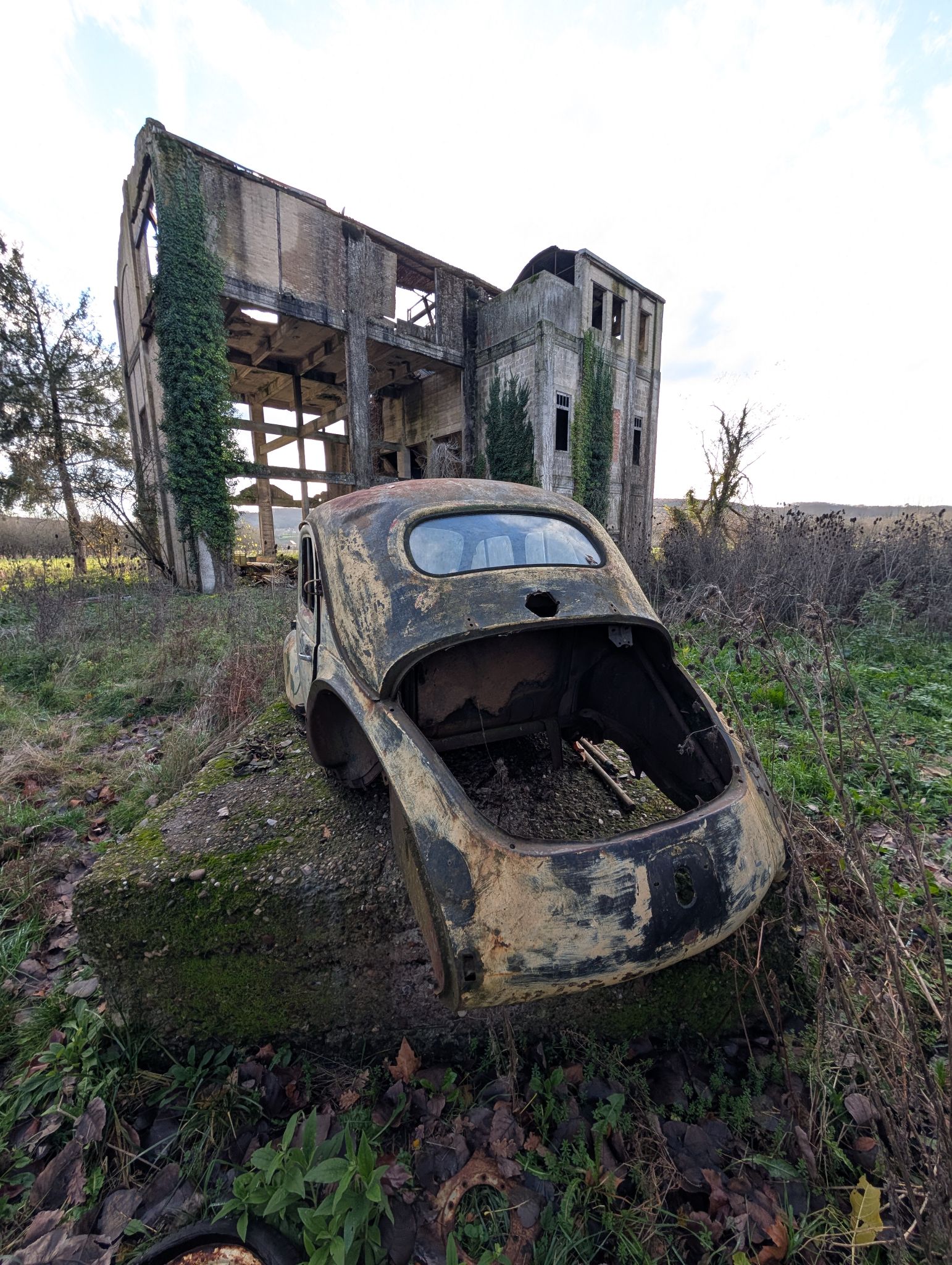 PXL 20251212 143554394.MP