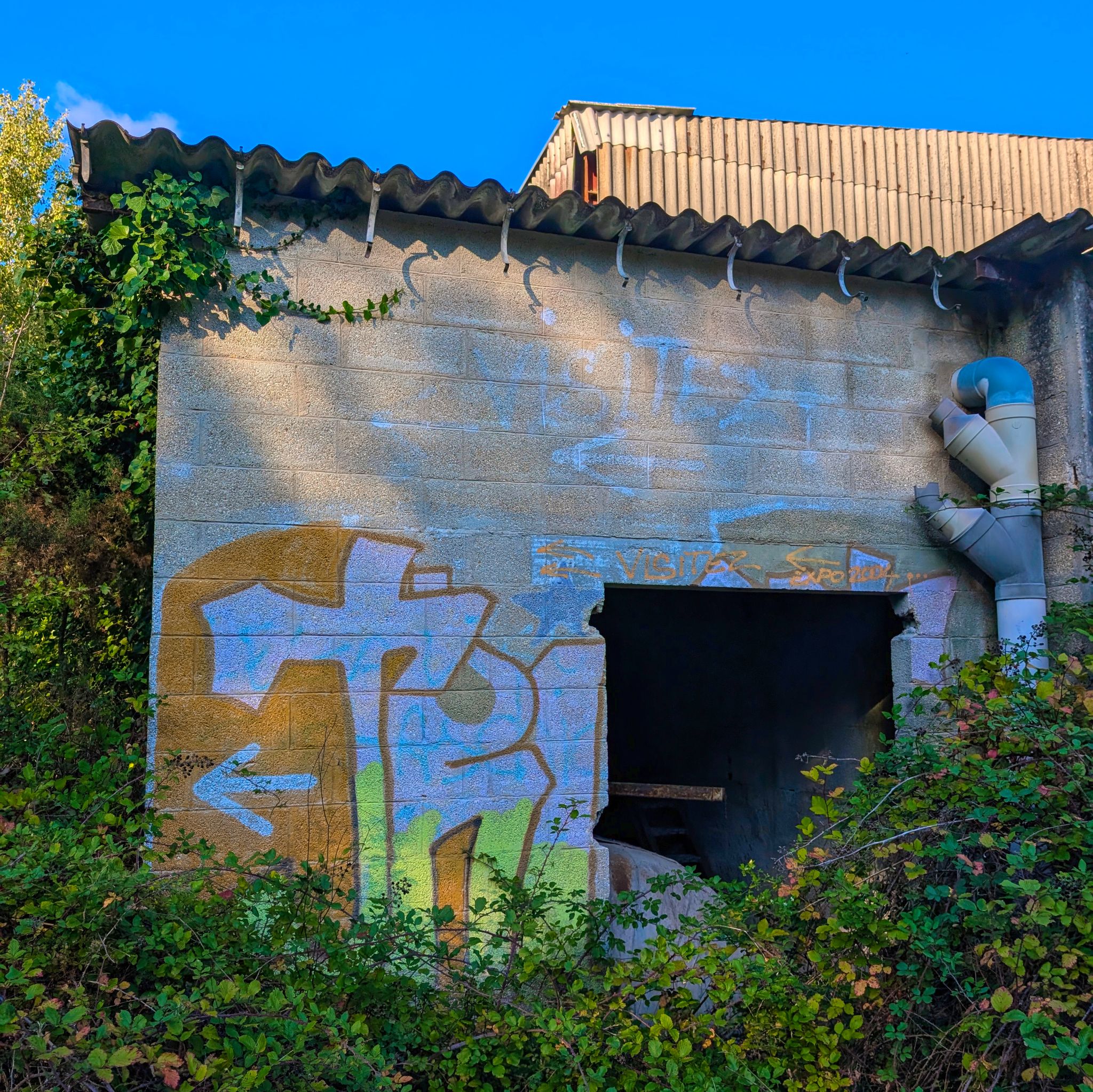 PXL 20250930 154940565