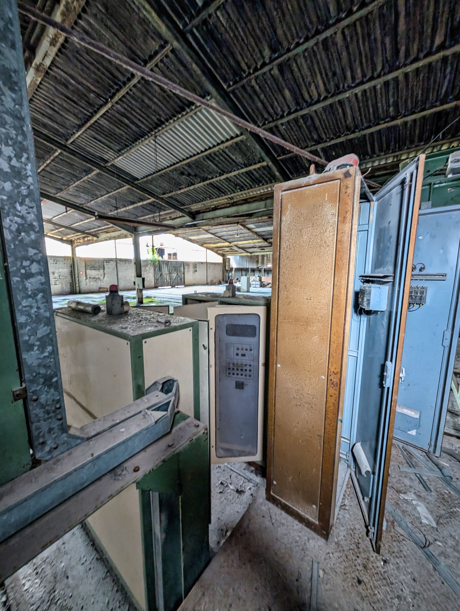 PXL 20251005 113717206